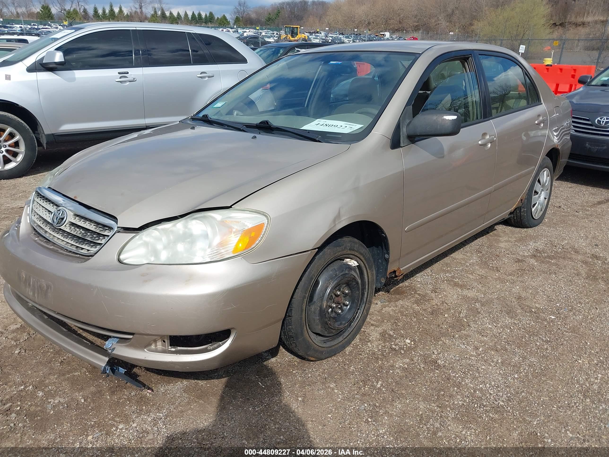 TOYOTA COROLLA image 2