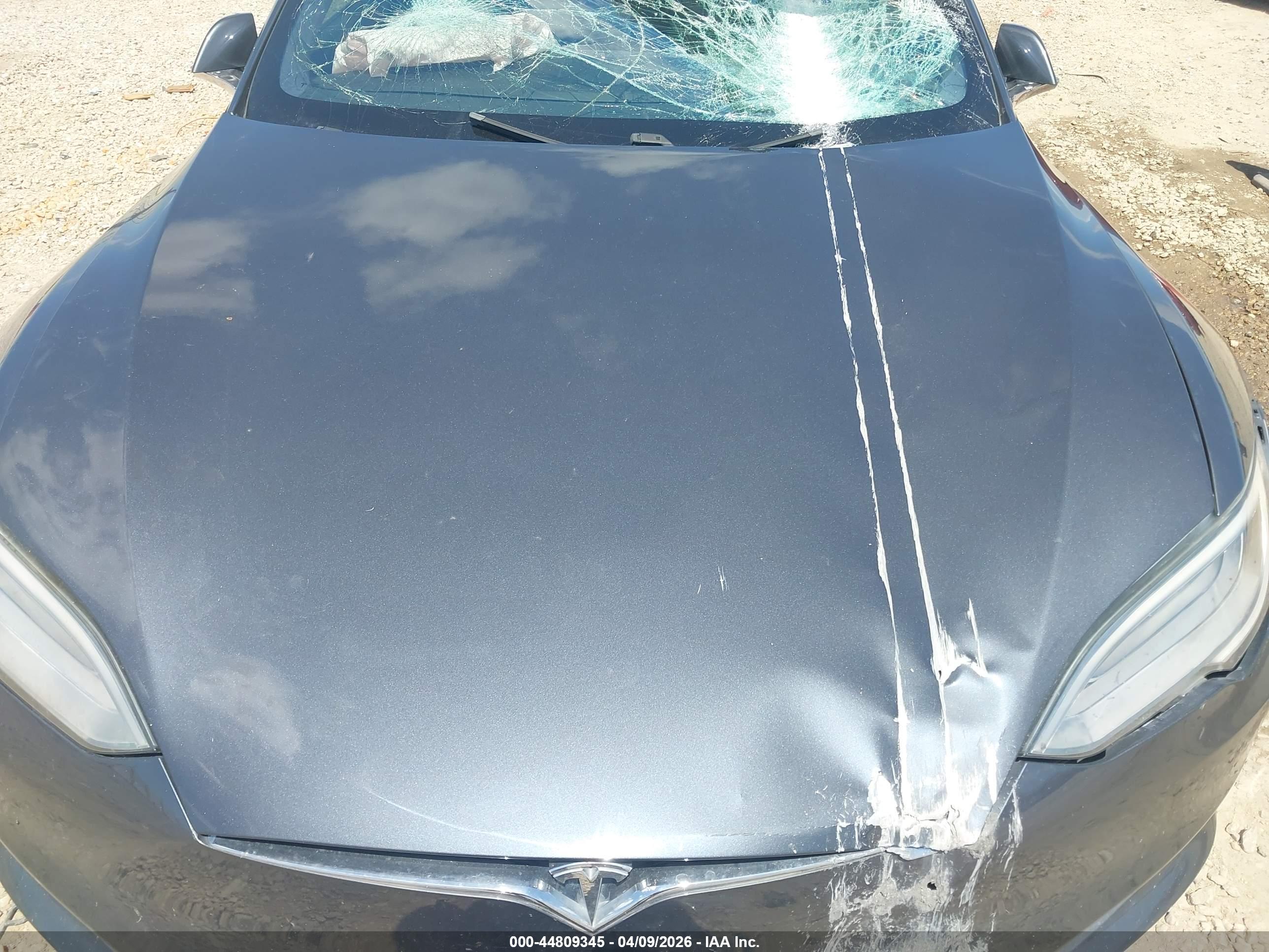 TESLA MODEL image 10