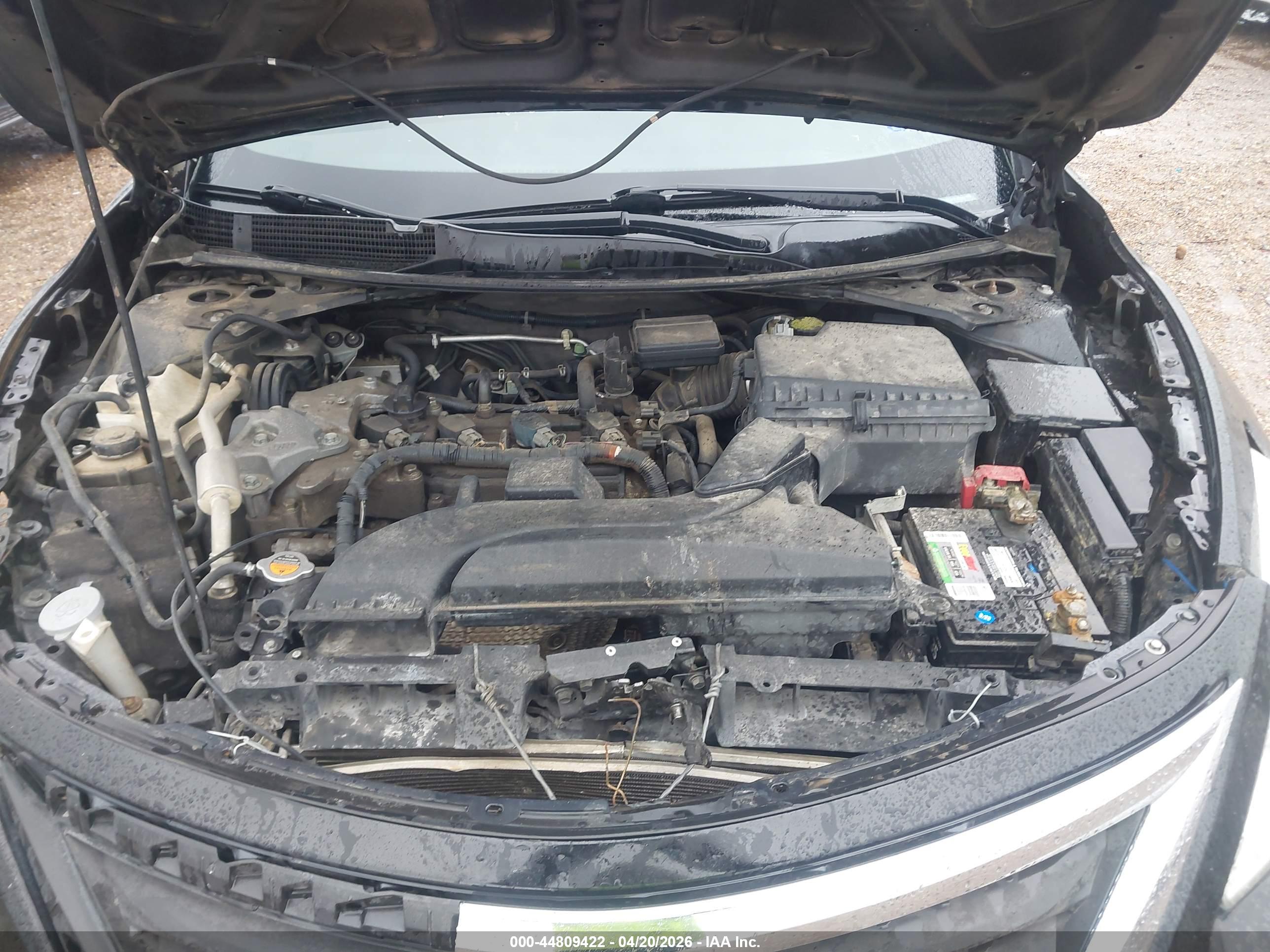 NISSAN ALTIMA image 10
