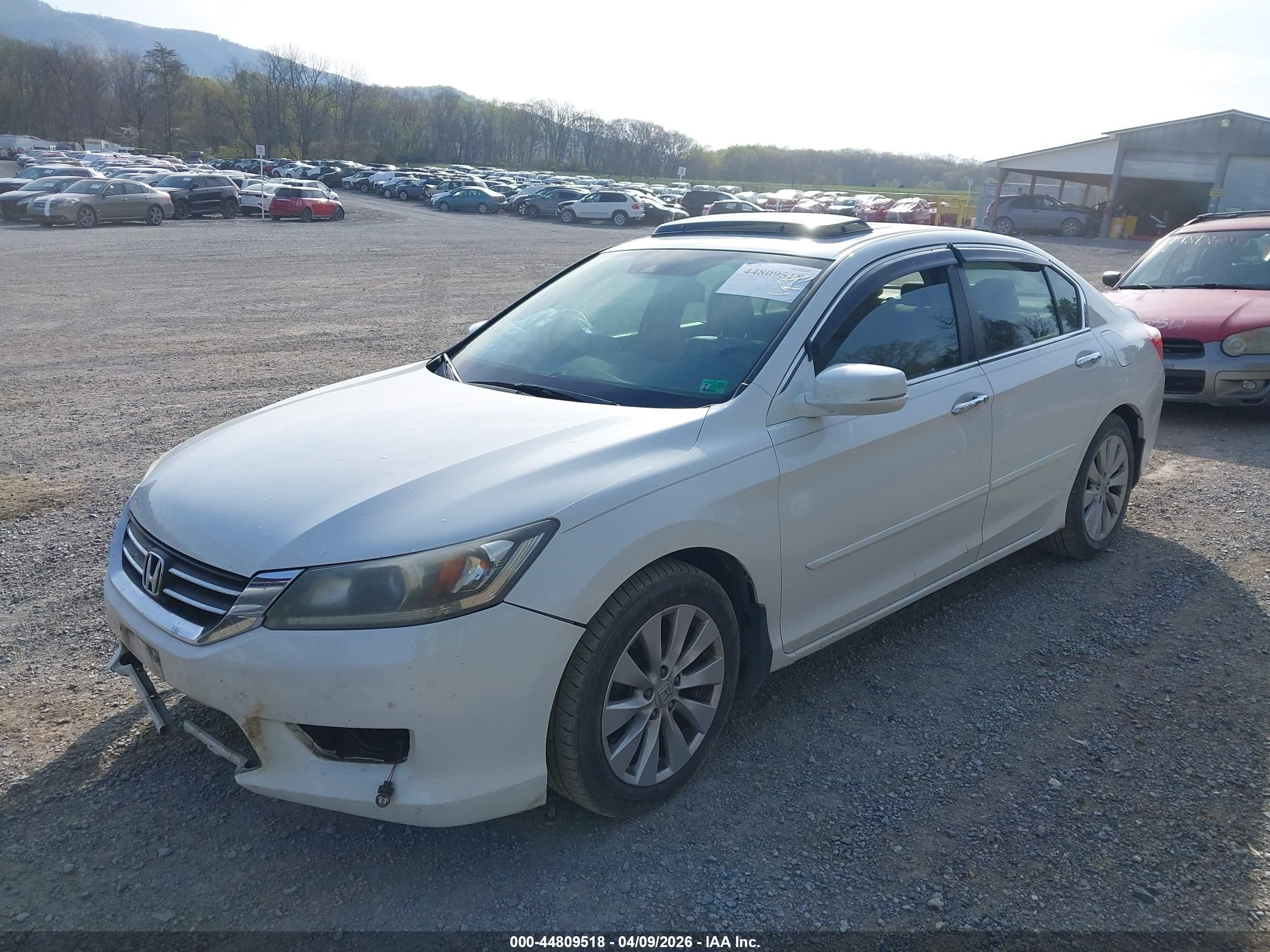HONDA ACCORD image 2