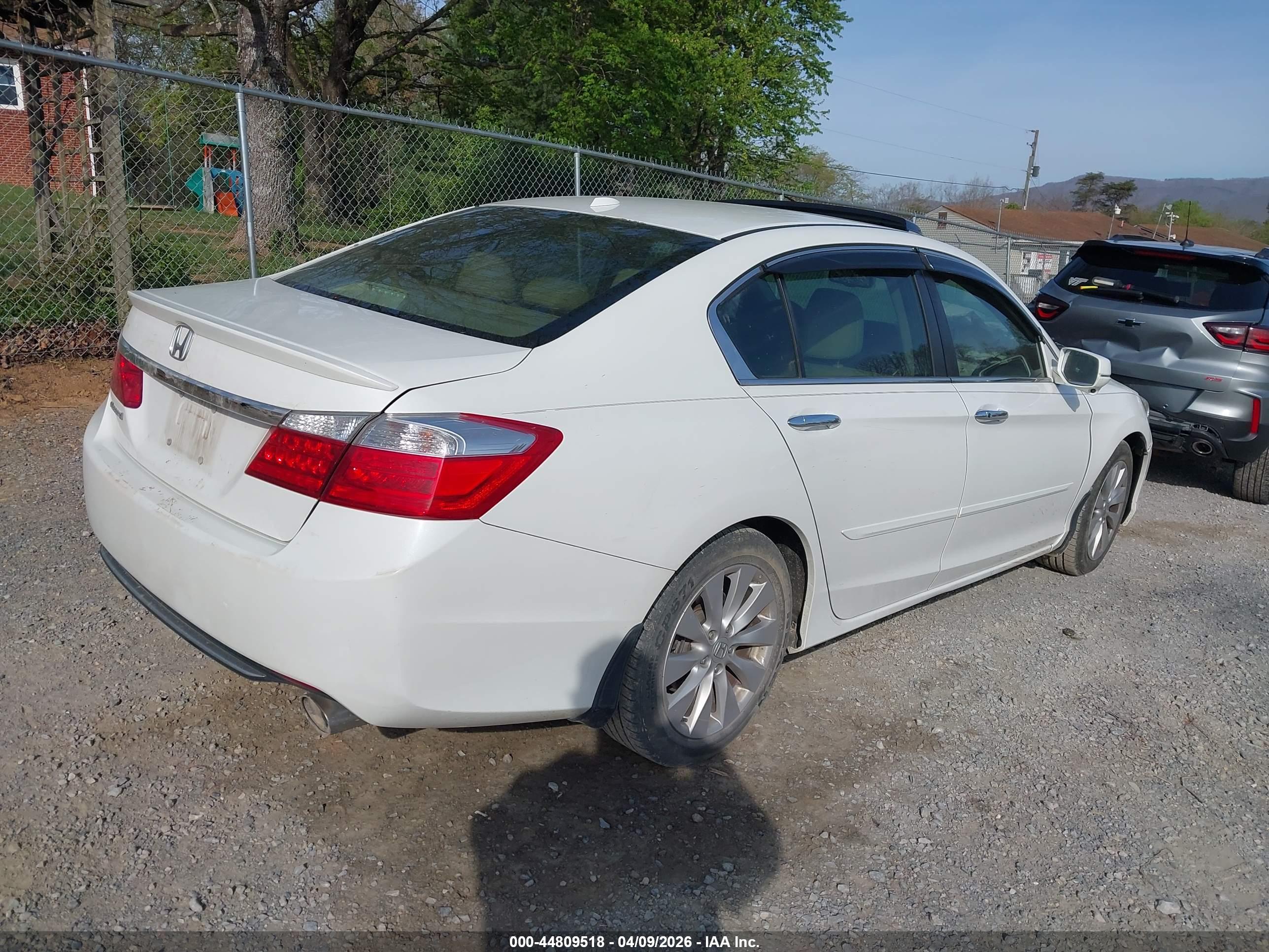 HONDA ACCORD image 4