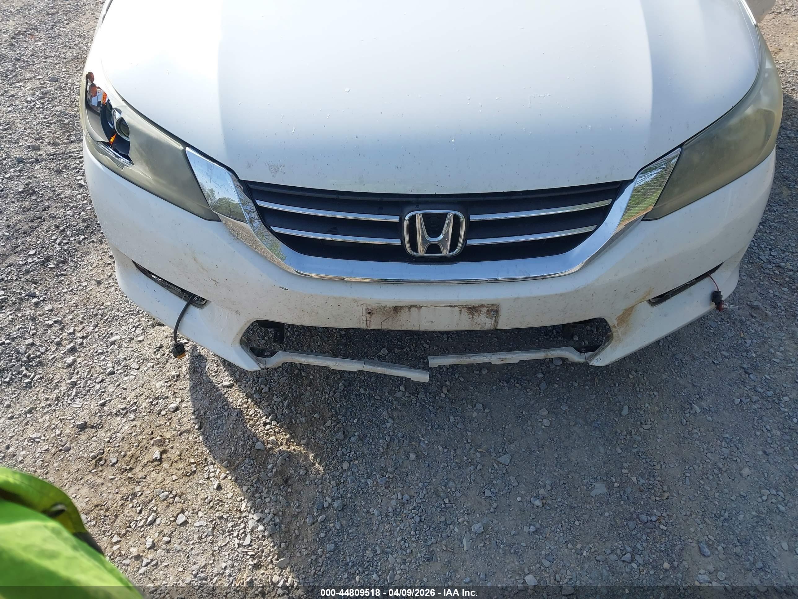 HONDA ACCORD image 6