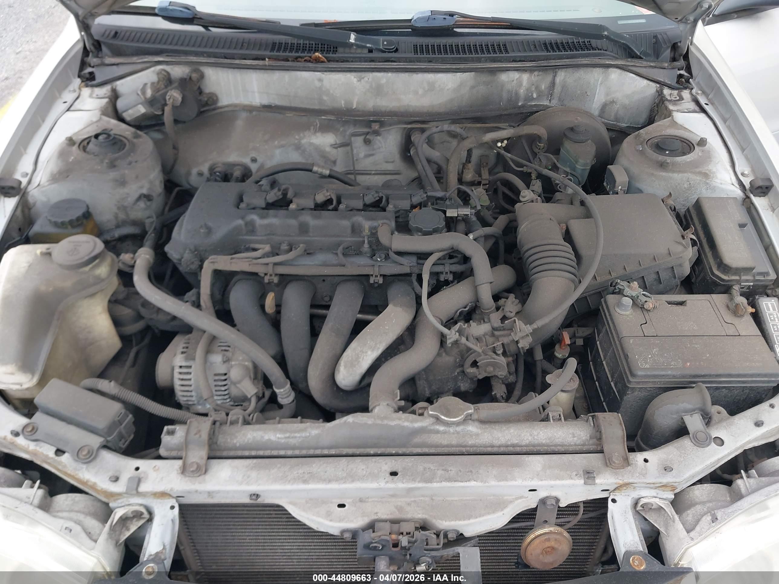 TOYOTA COROLLA image 10