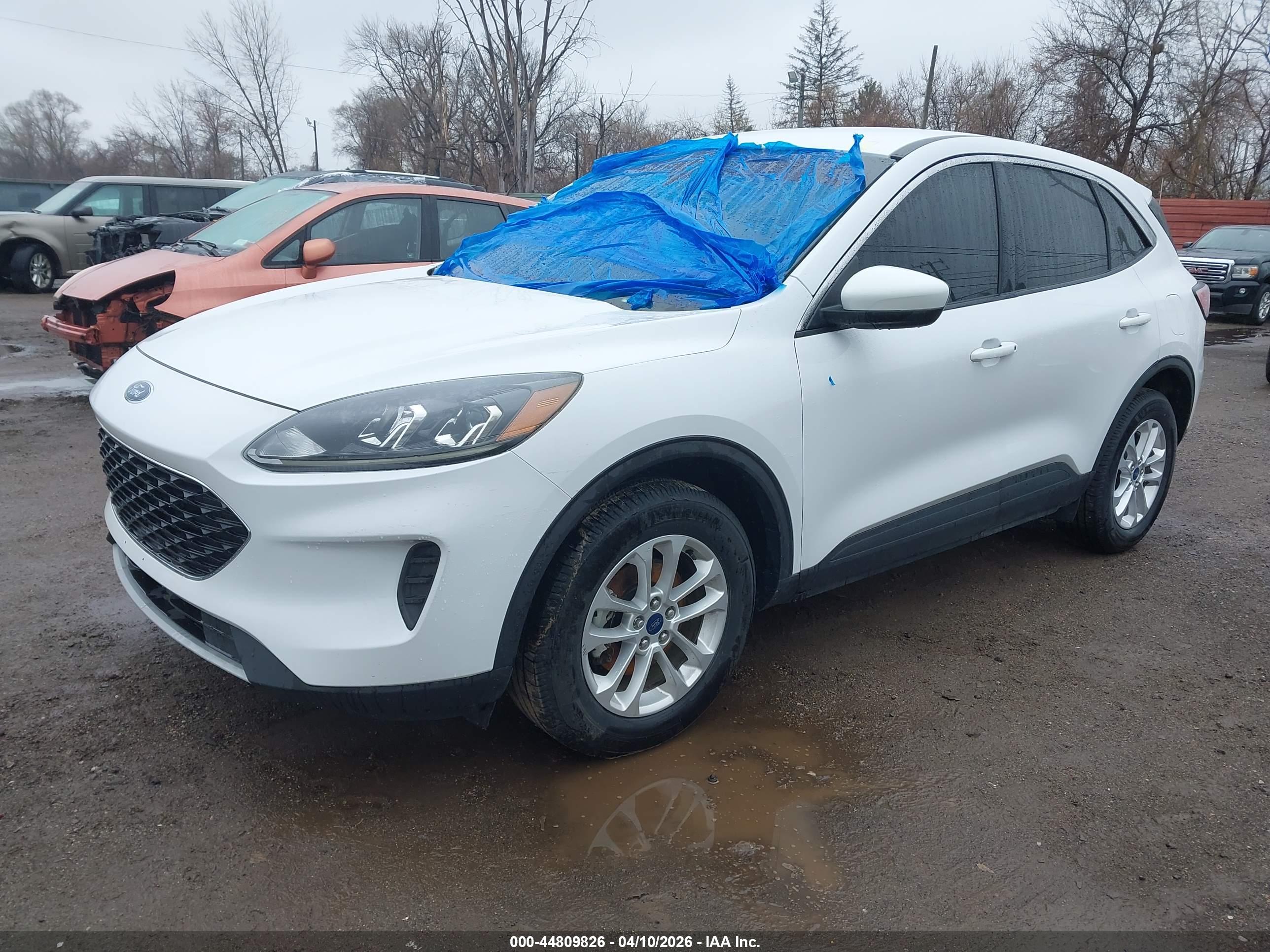 FORD ESCAPE image 2