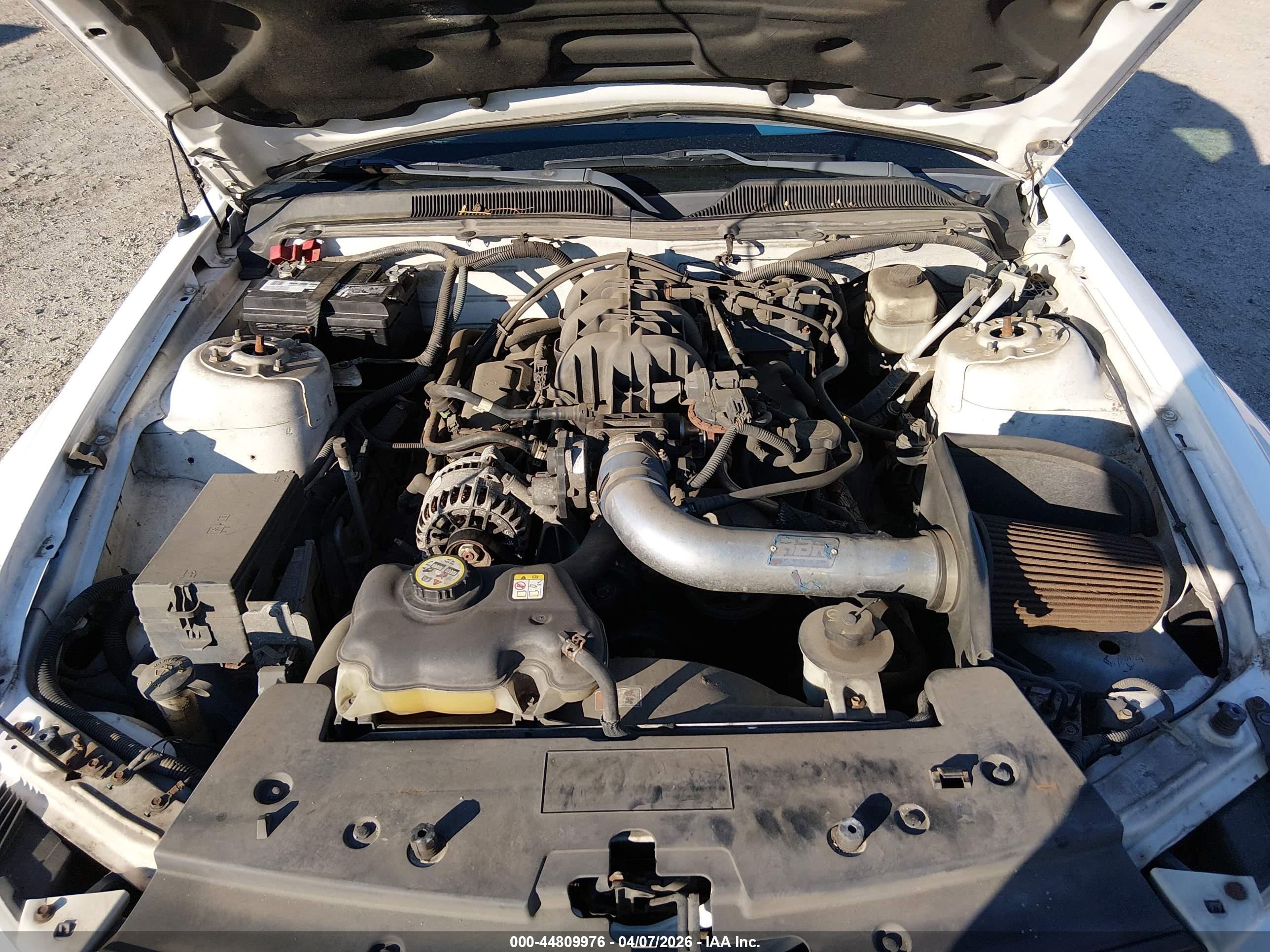 FORD MUSTANG image 10