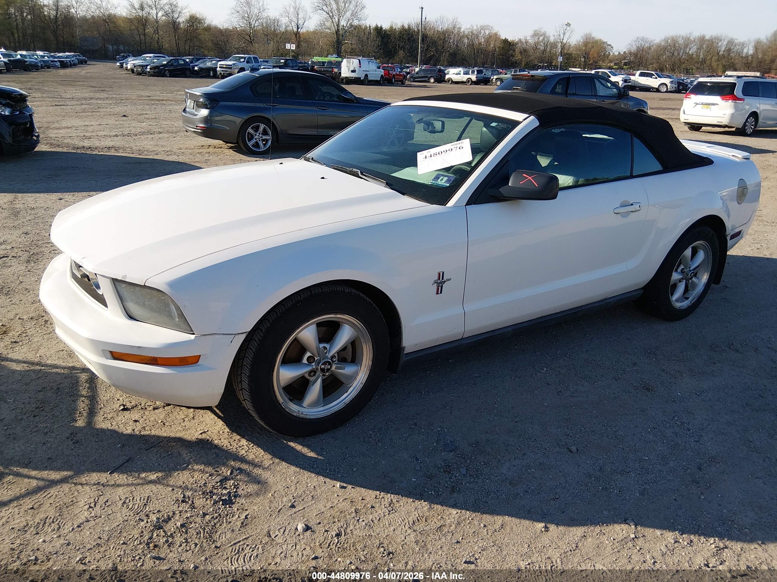 FORD MUSTANG image 2