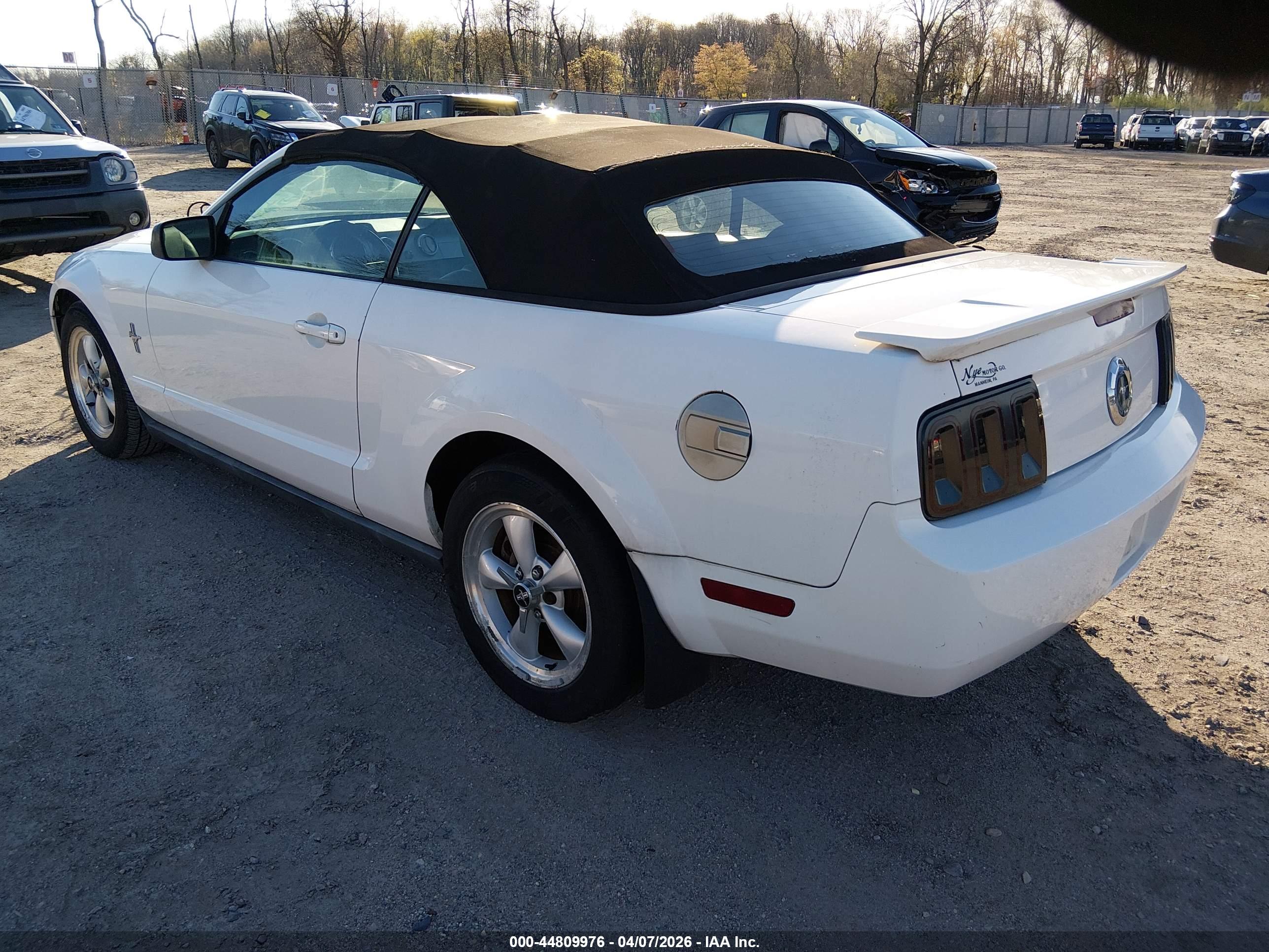 FORD MUSTANG image 3
