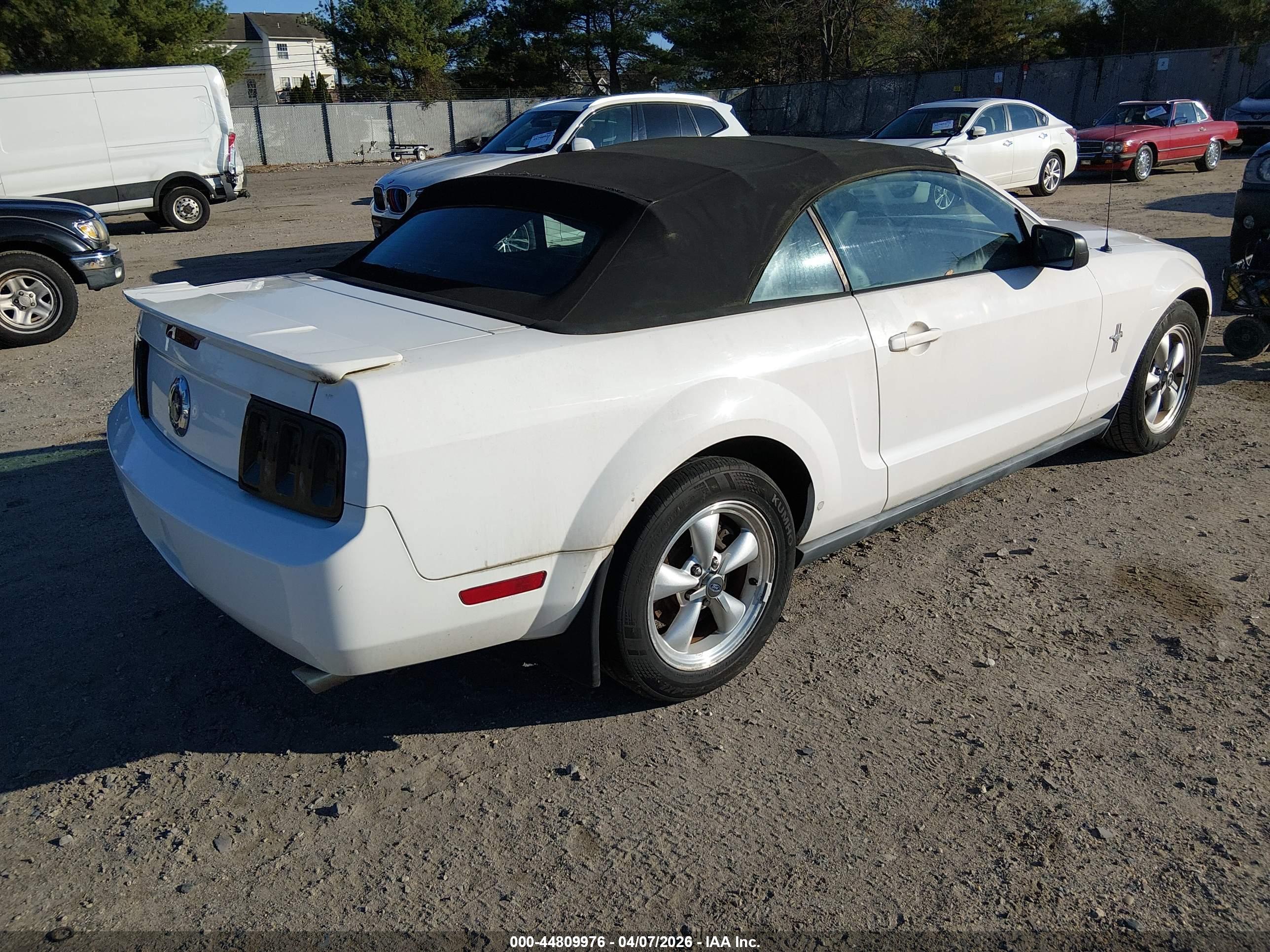 FORD MUSTANG image 4