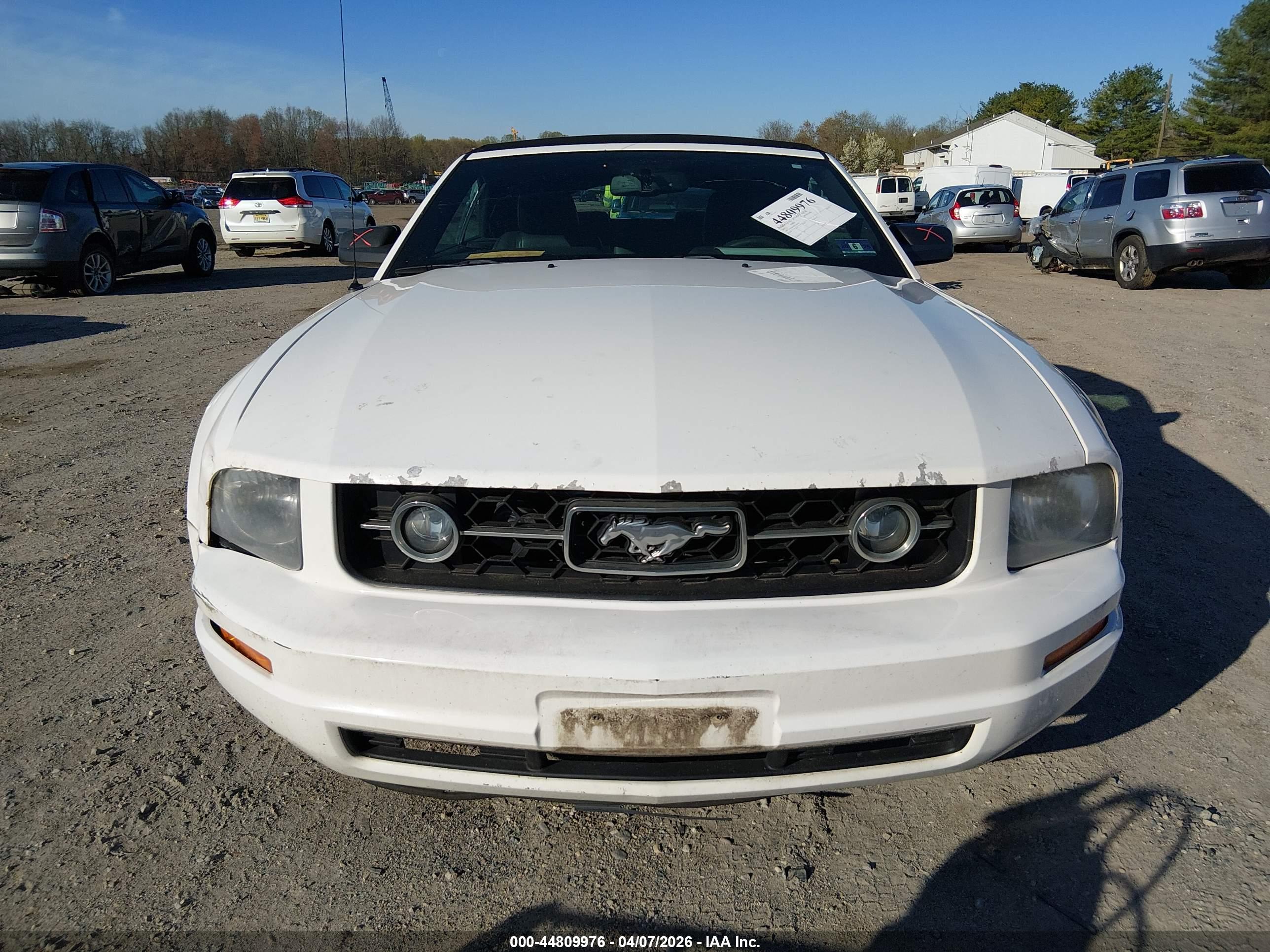 FORD MUSTANG image 6