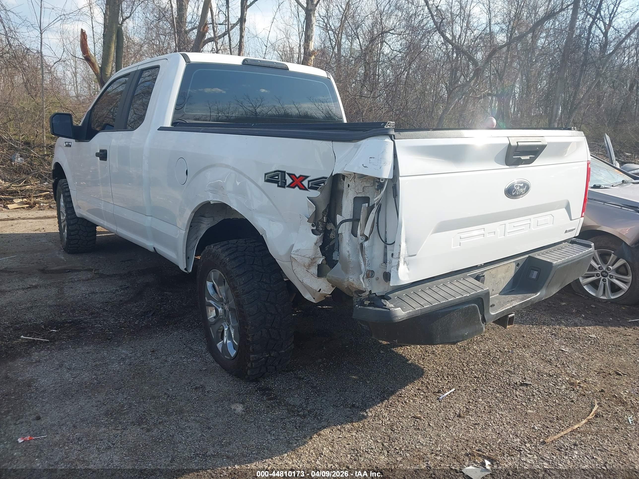FORD F-150 image 3