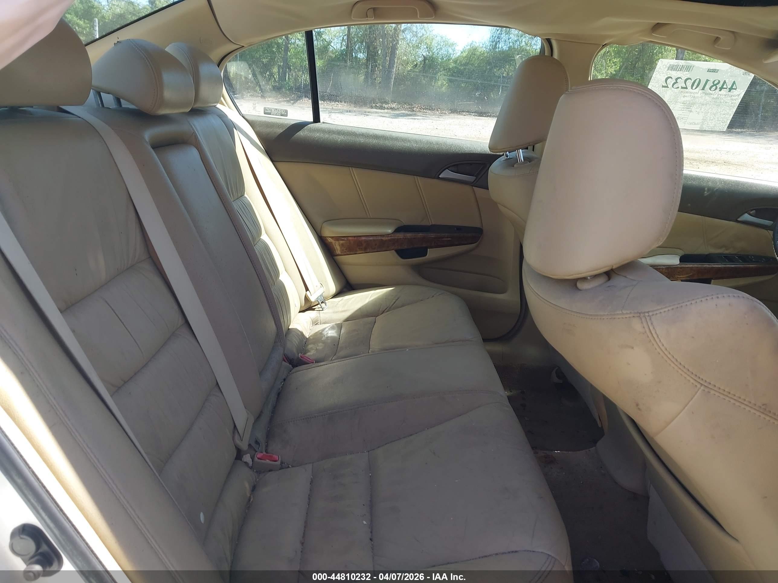 HONDA ACCORD image 8