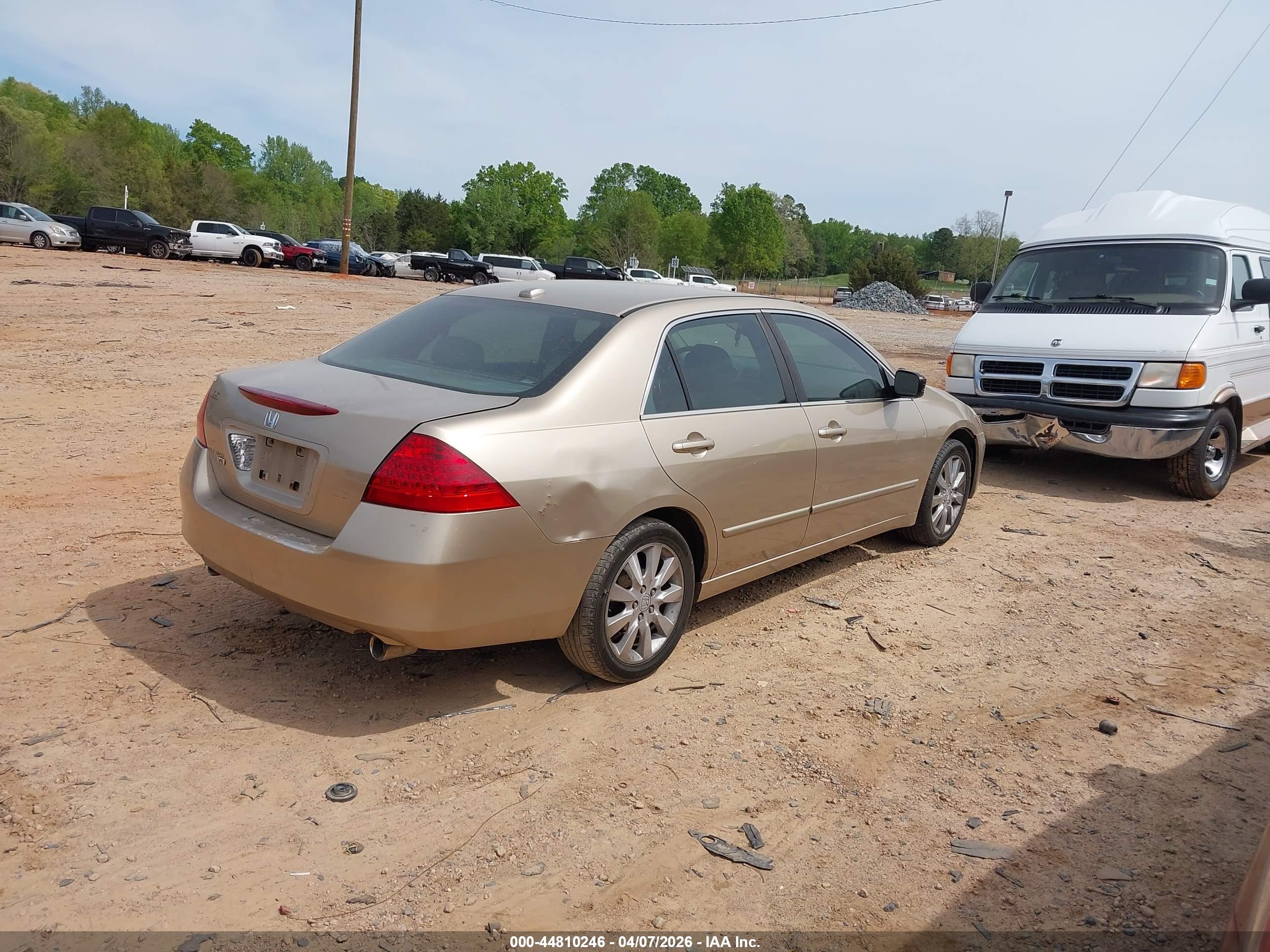 HONDA ACCORD image 4