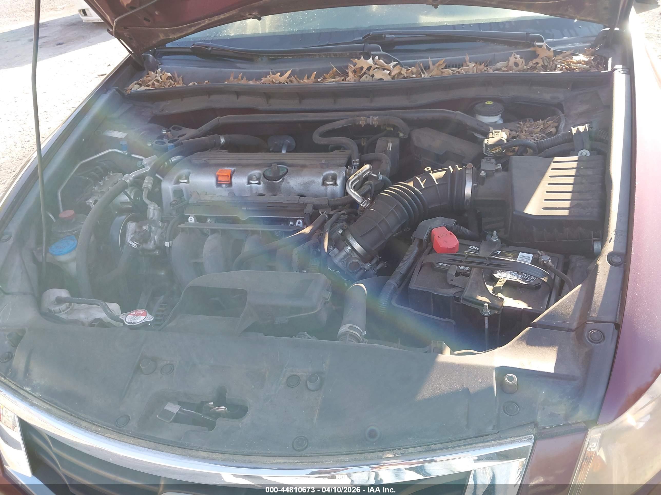 HONDA ACCORD image 10