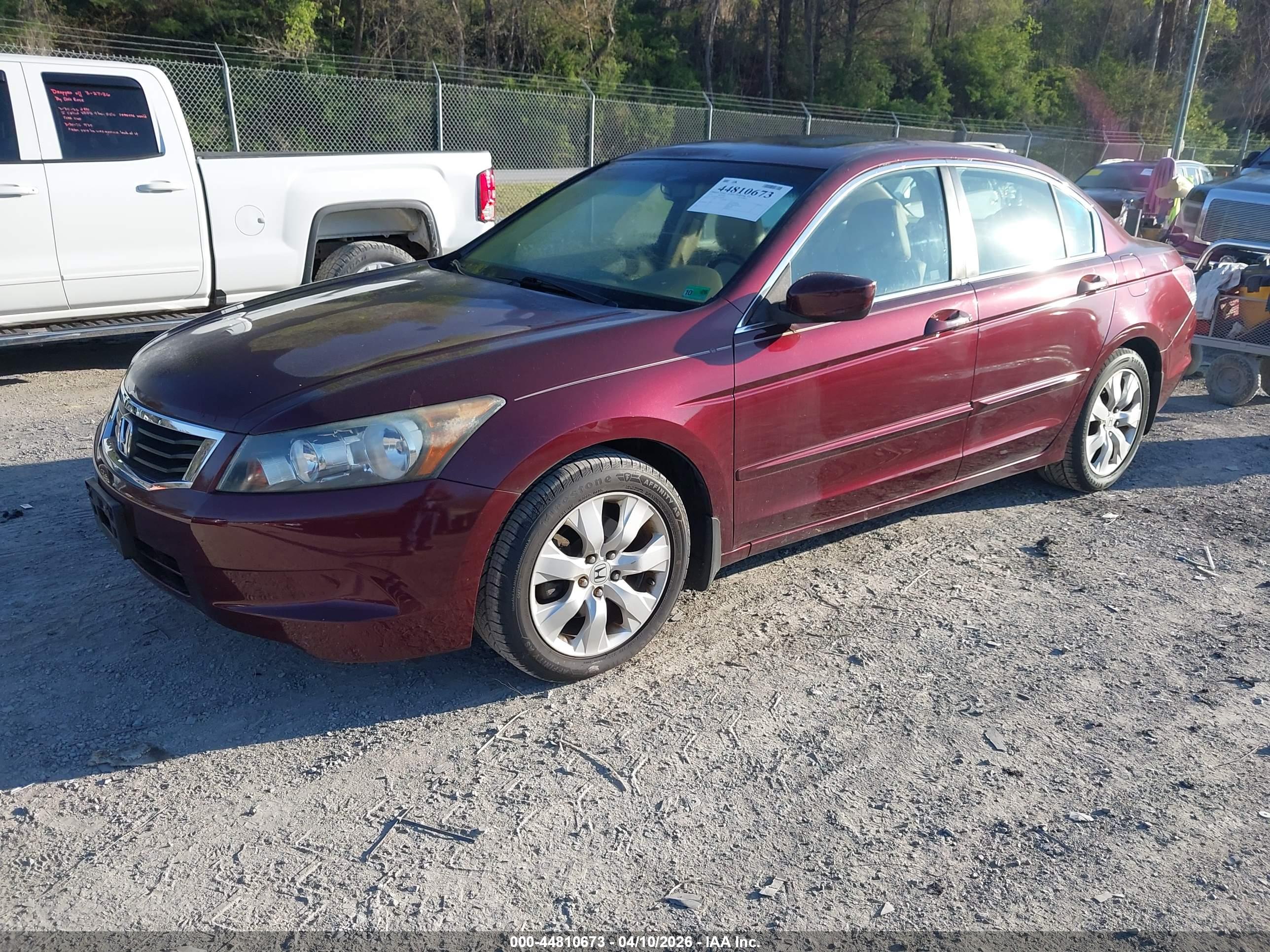HONDA ACCORD image 2