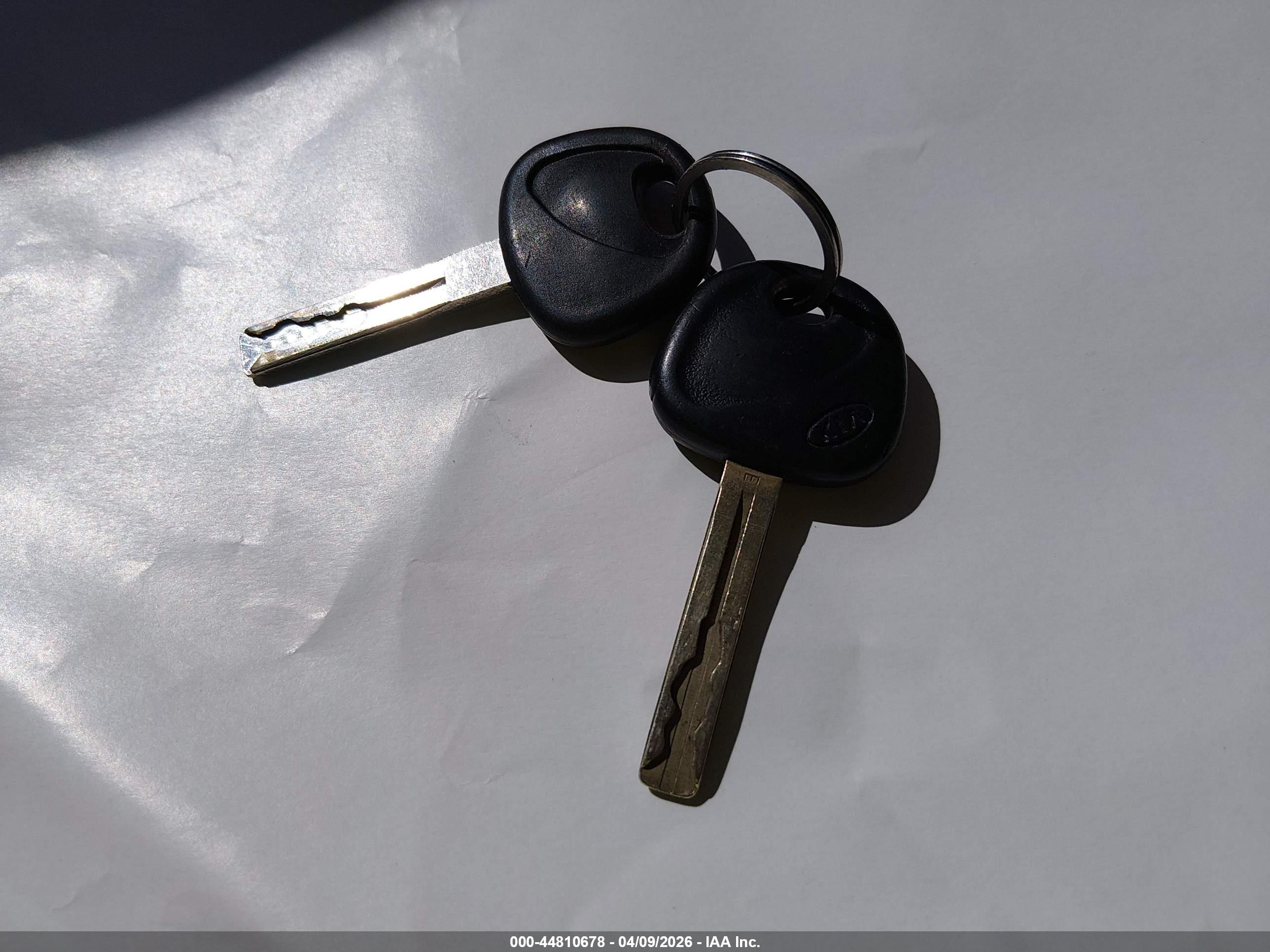 KIA RIO image 11