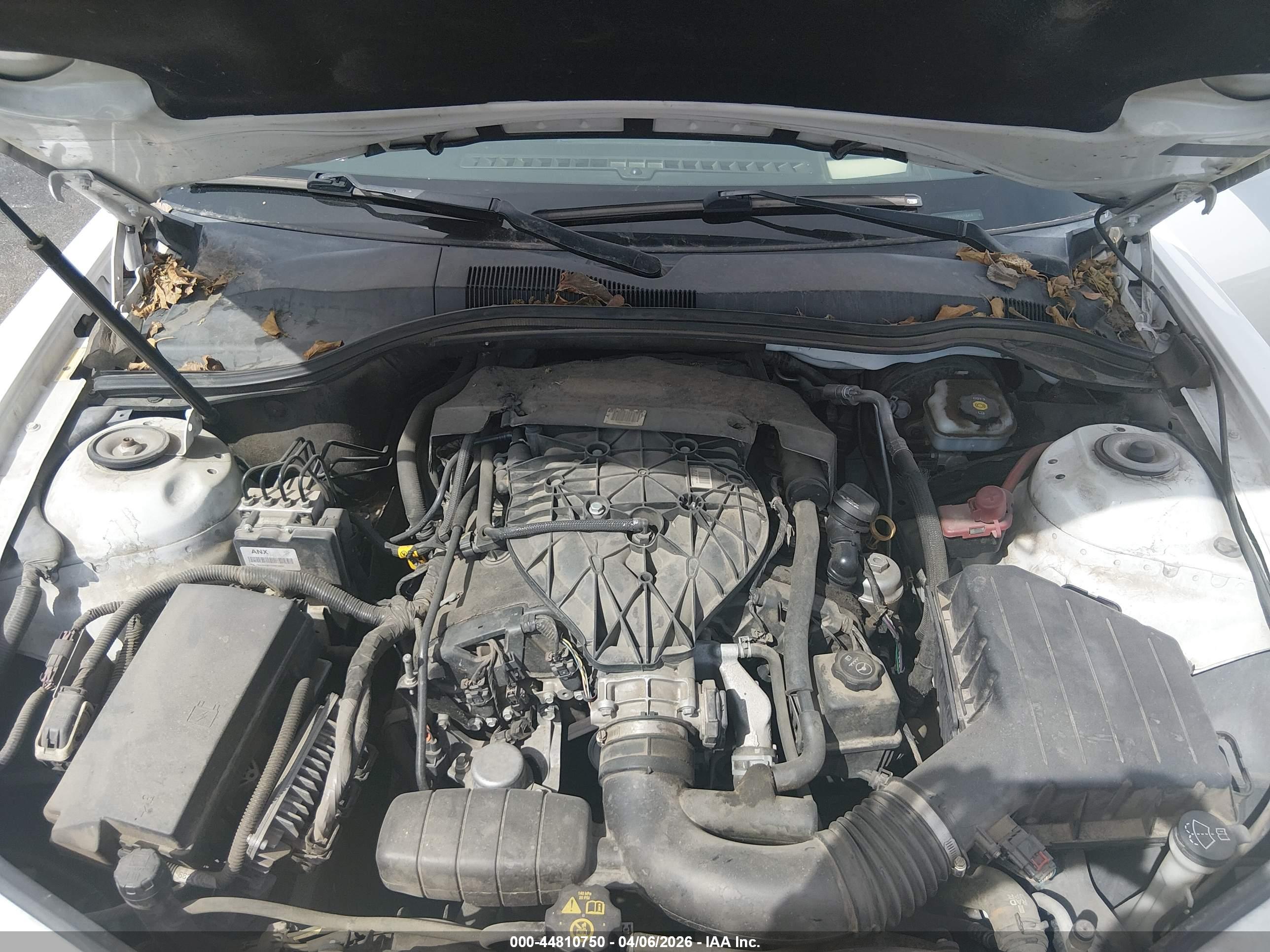 CHEVROLET CAMARO image 10