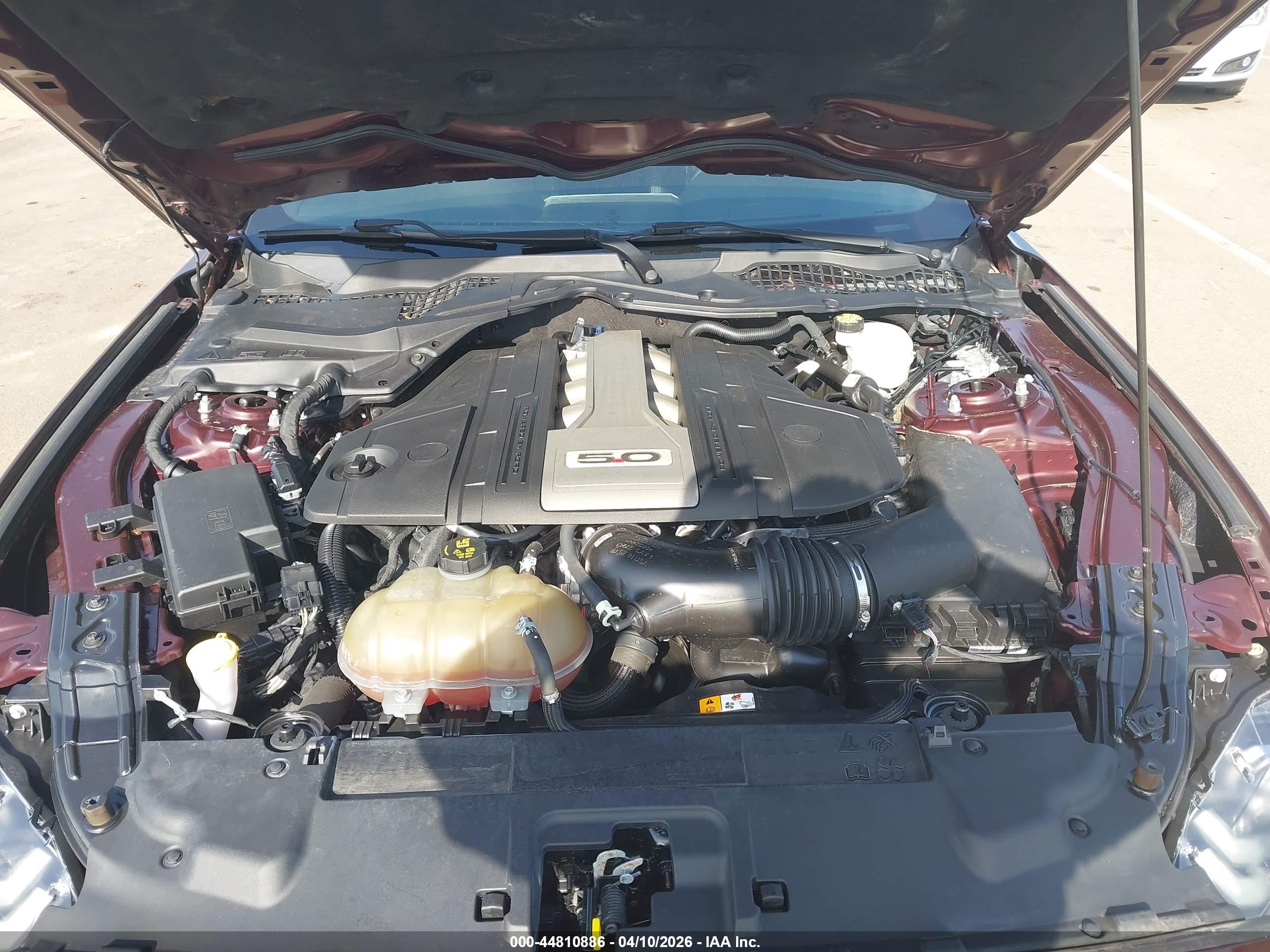 FORD MUSTANG image 10