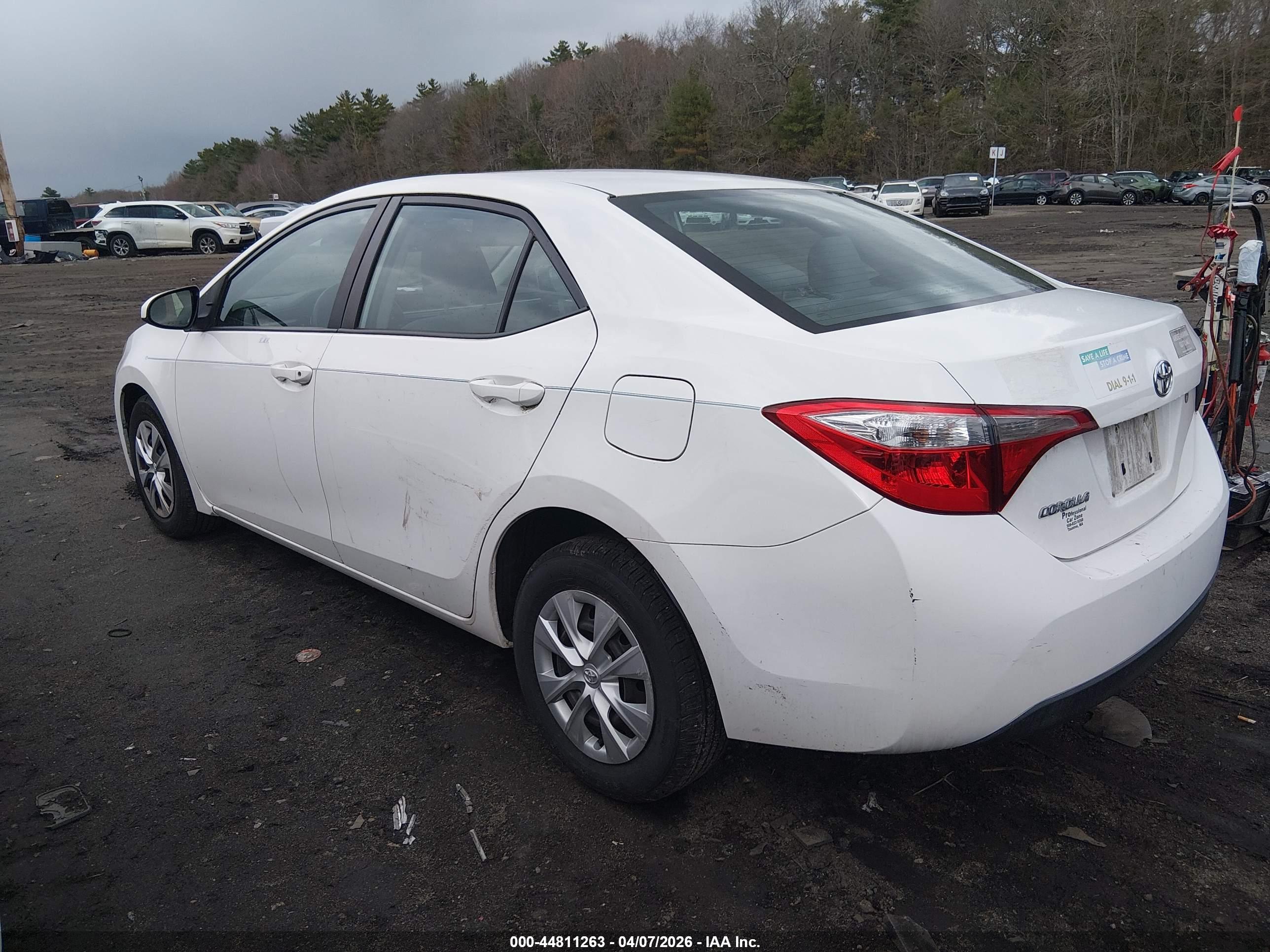 TOYOTA COROLLA image 3