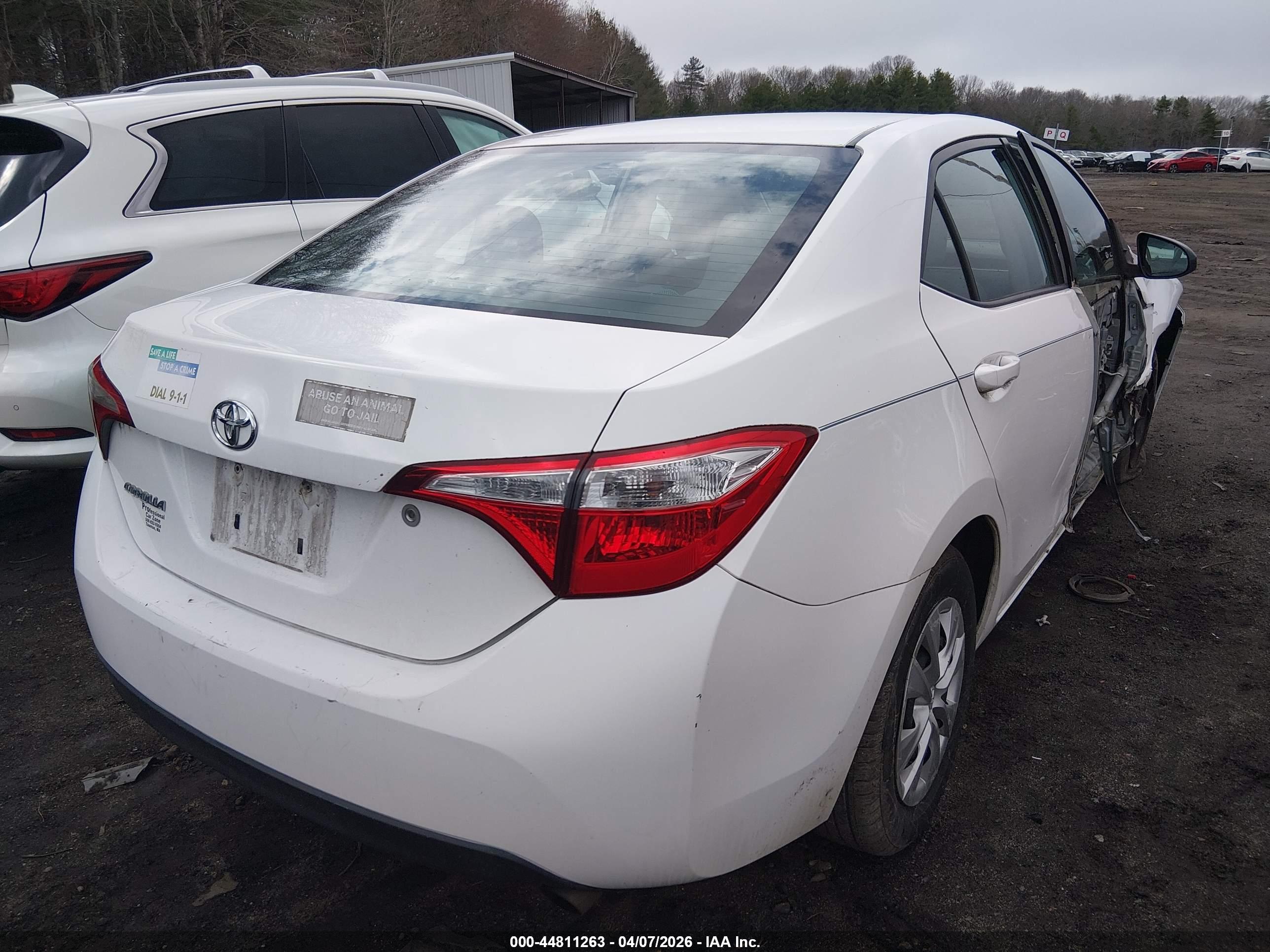 TOYOTA COROLLA image 4
