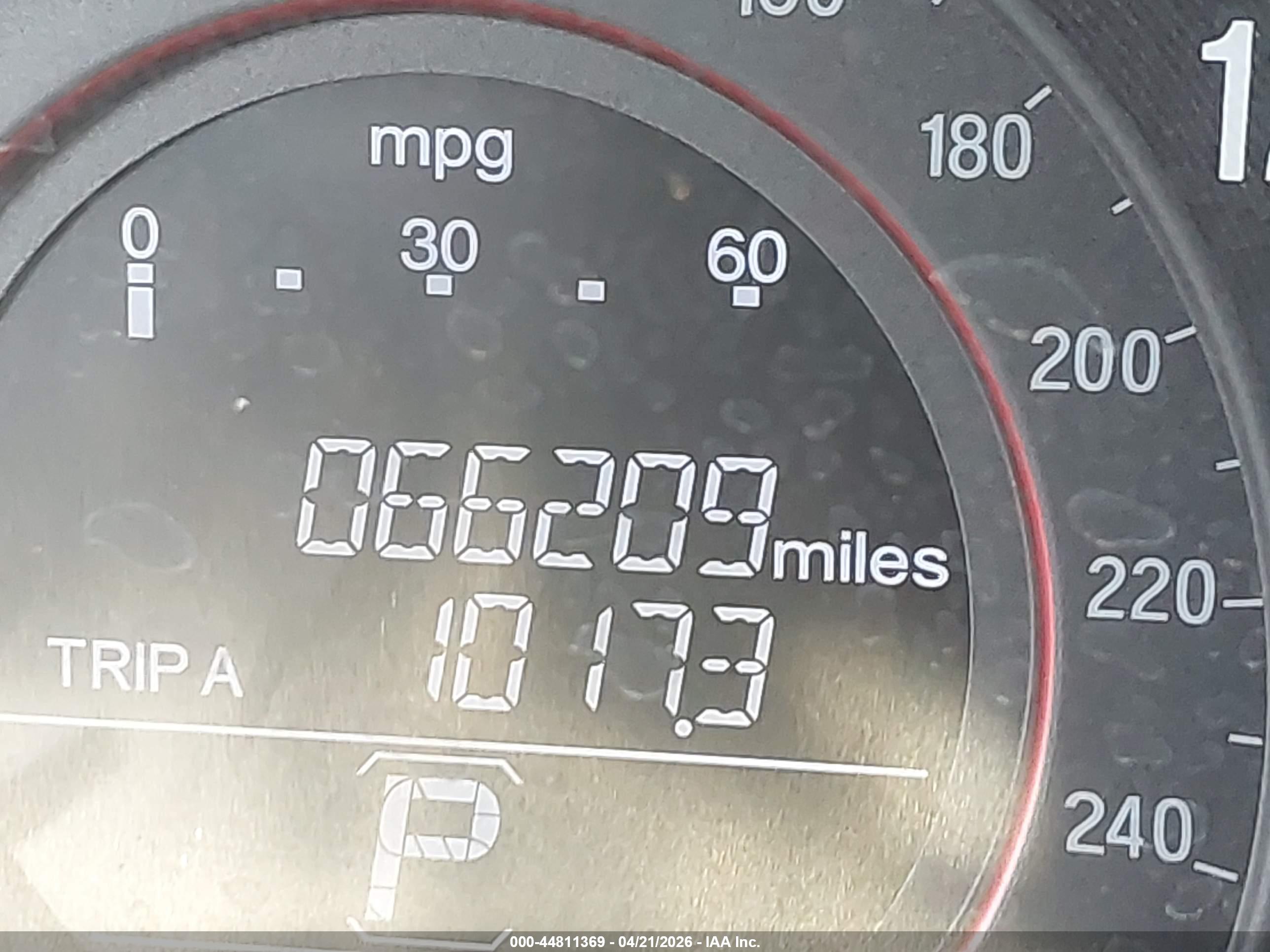 HONDA ACCORD image 7