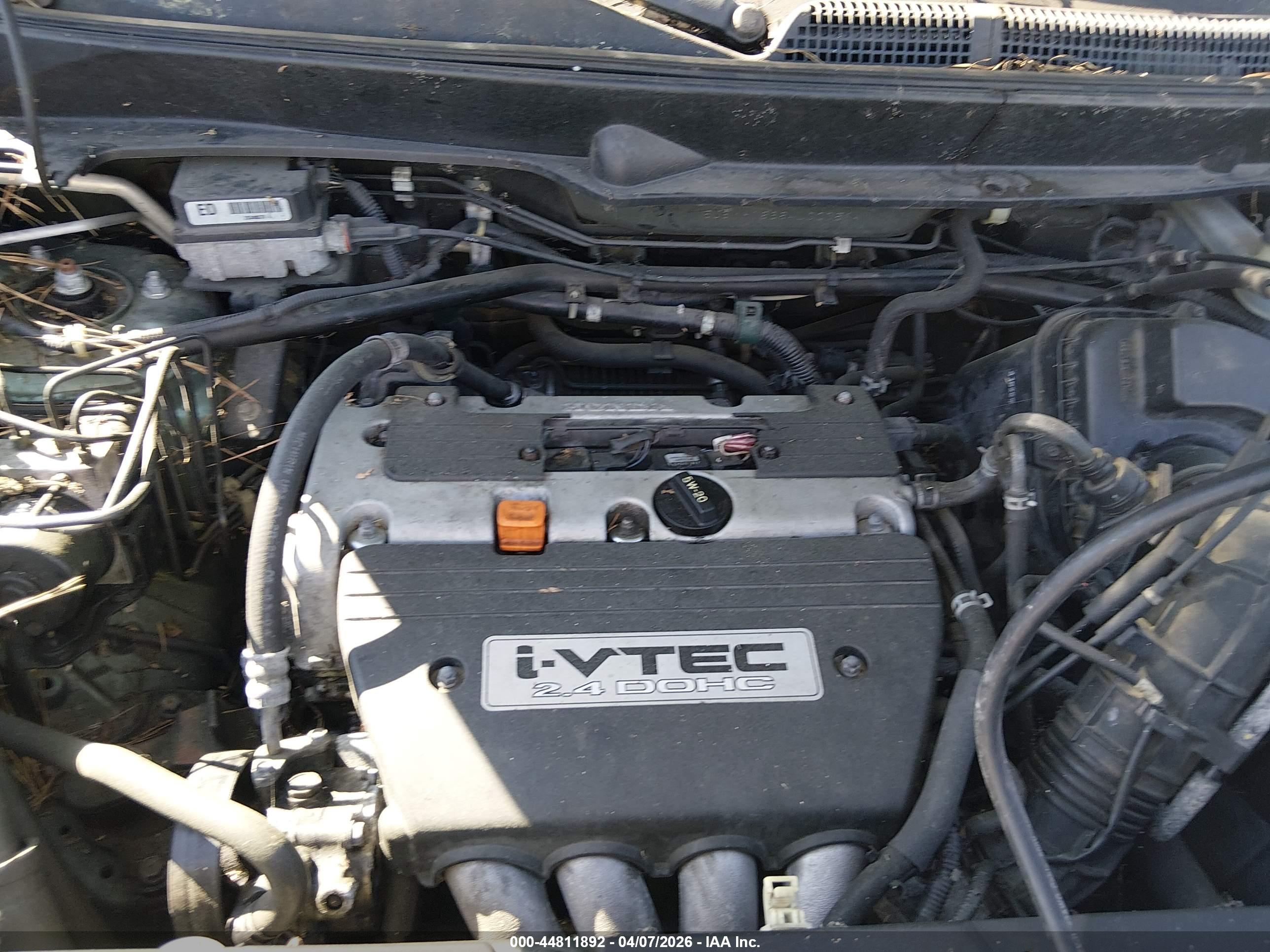 HONDA ELEMENT image 6