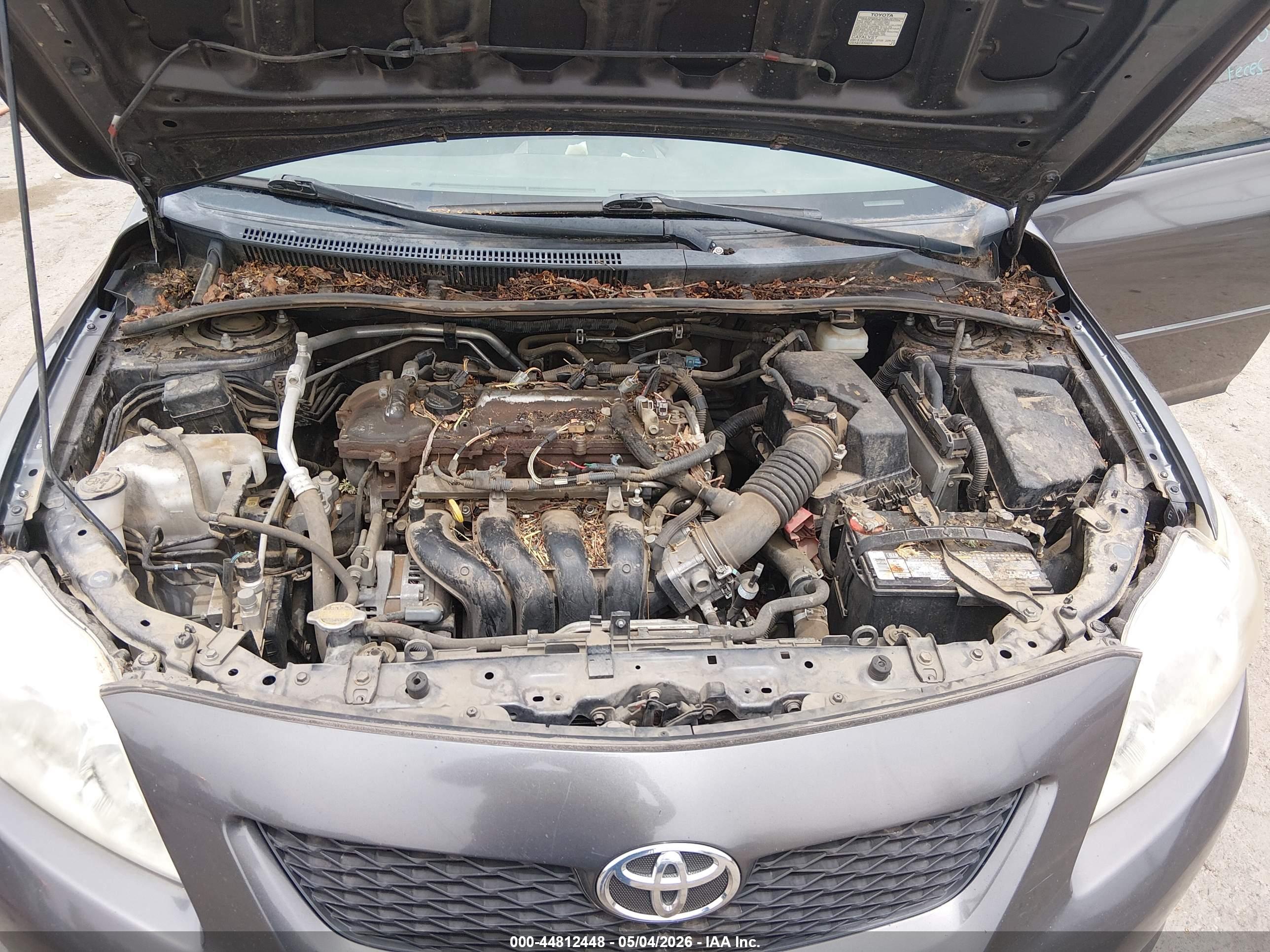 TOYOTA COROLLA image 10