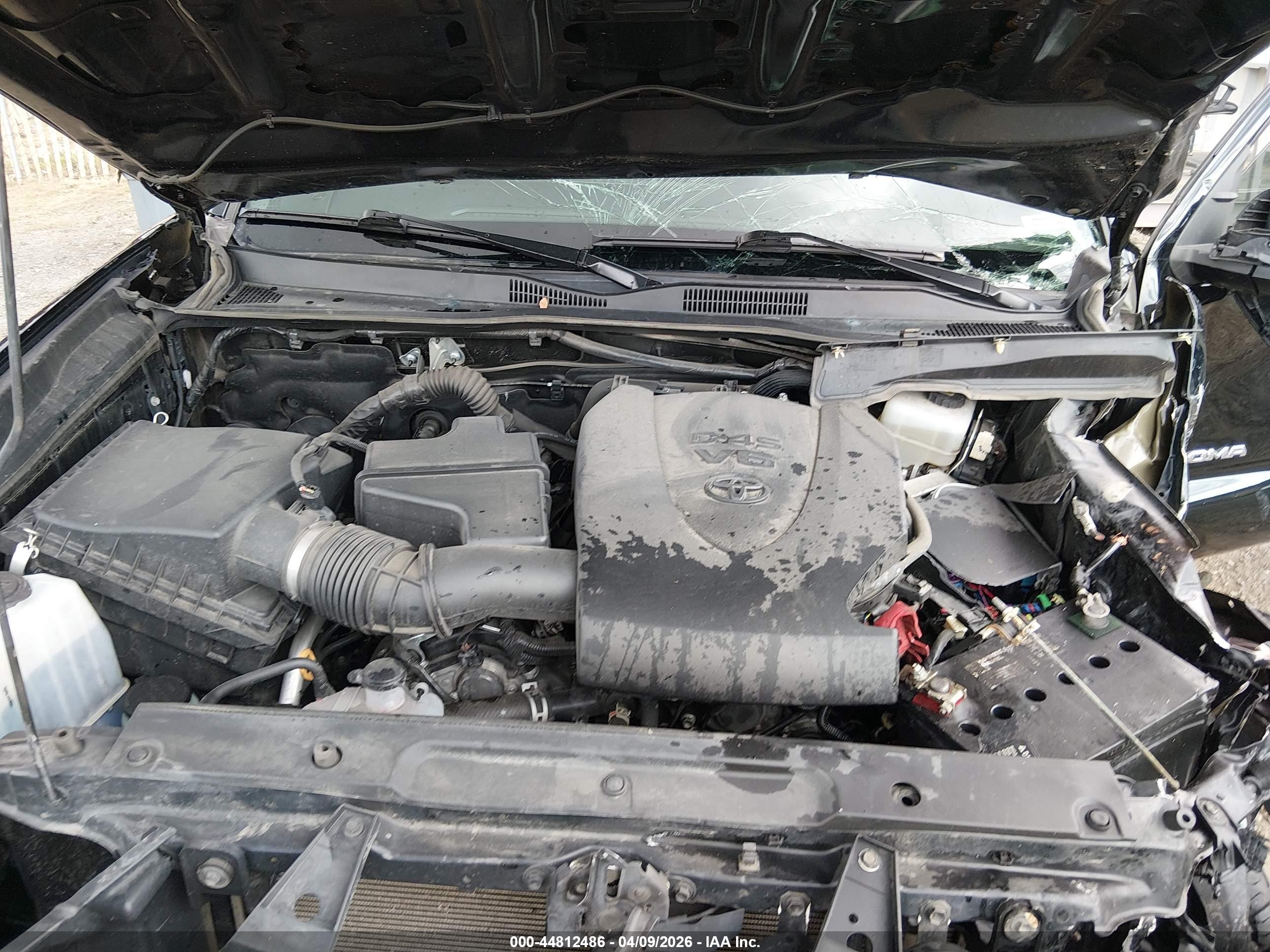 TOYOTA TACOMA image 10