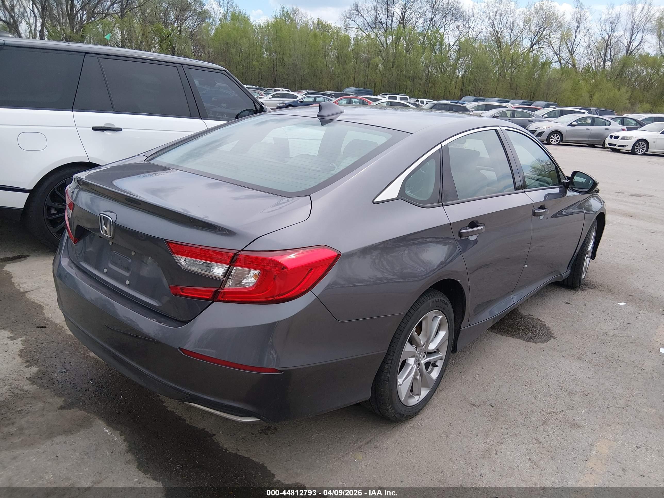HONDA ACCORD image 4