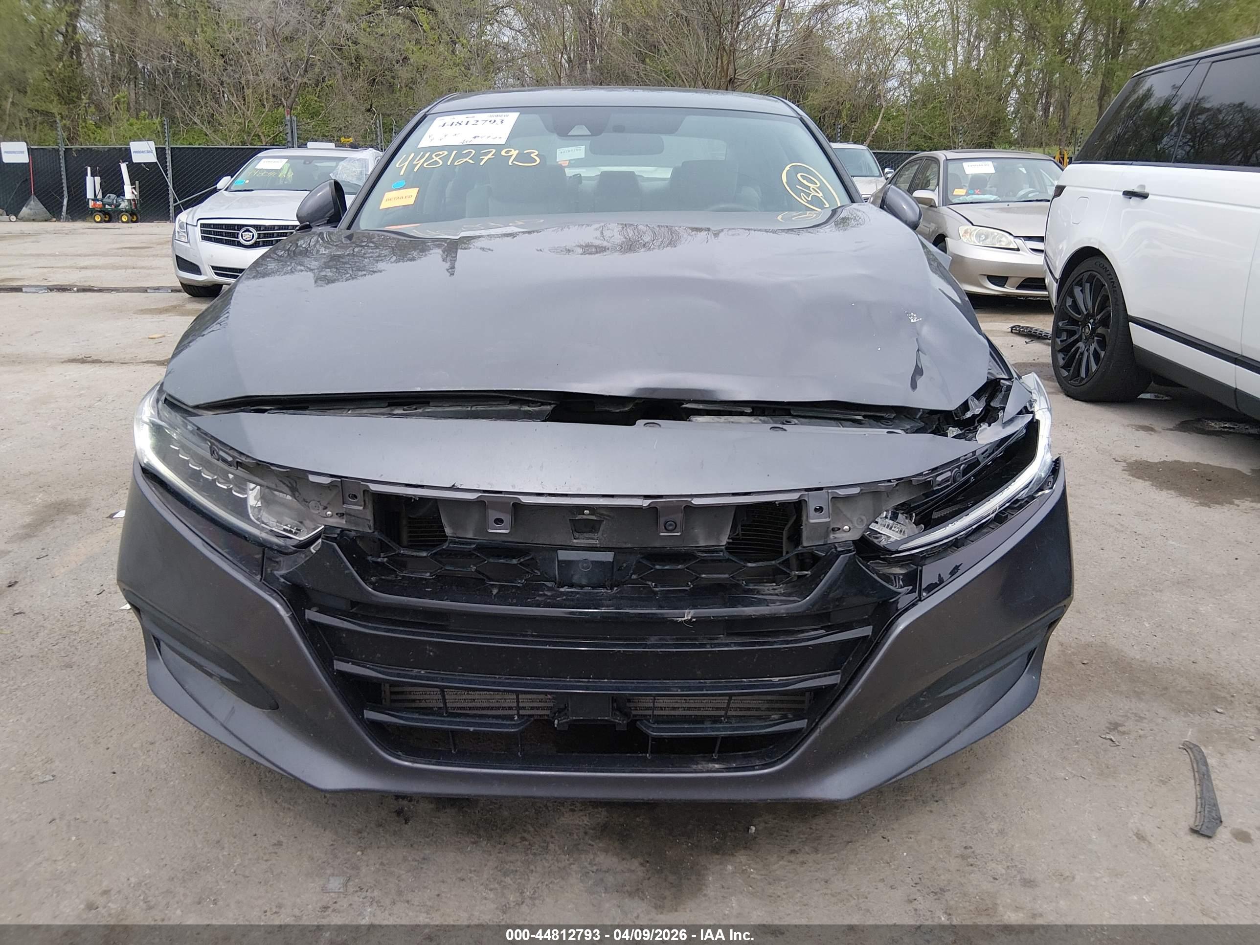 HONDA ACCORD image 6