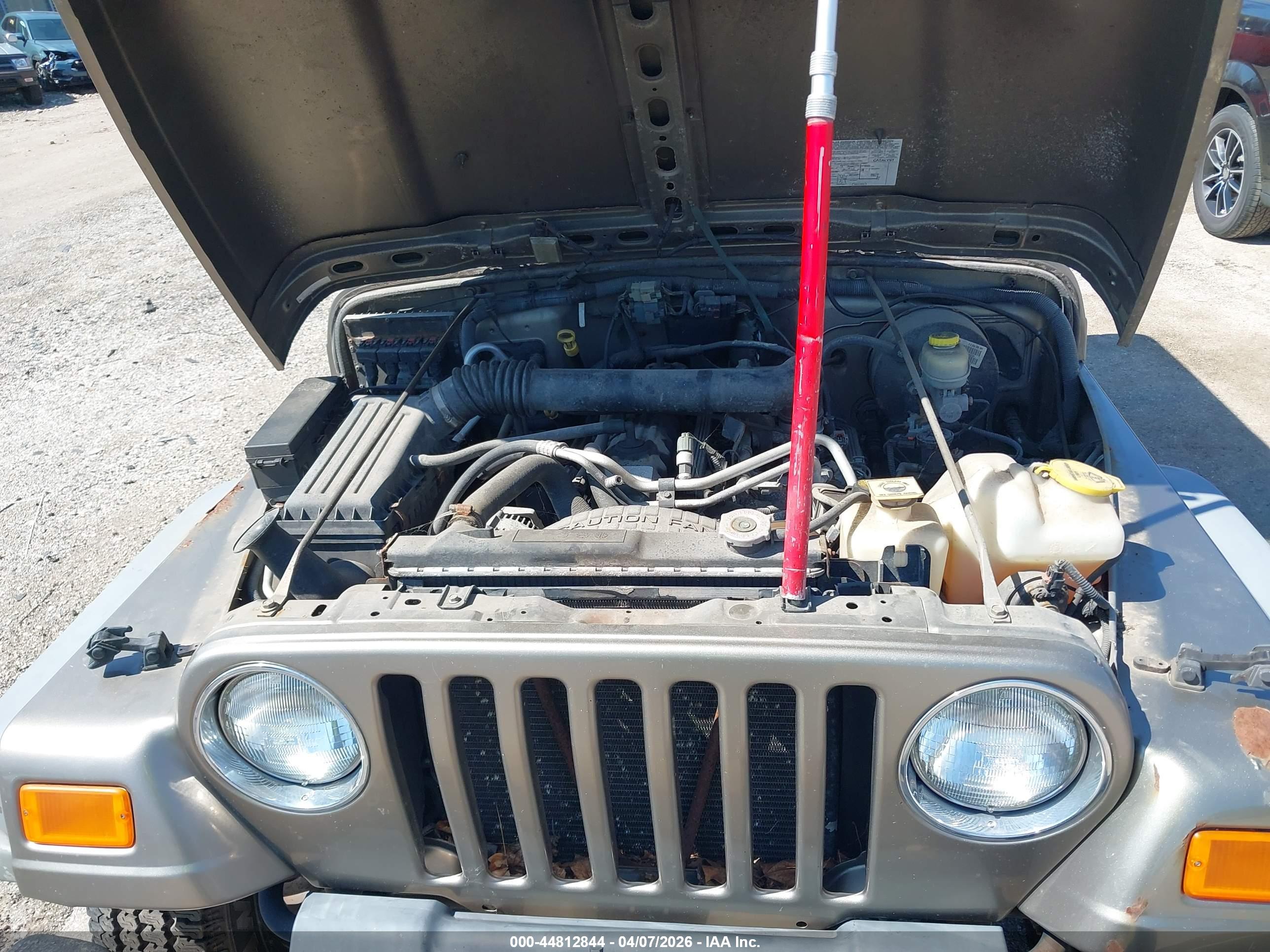JEEP WRANGLER image 10