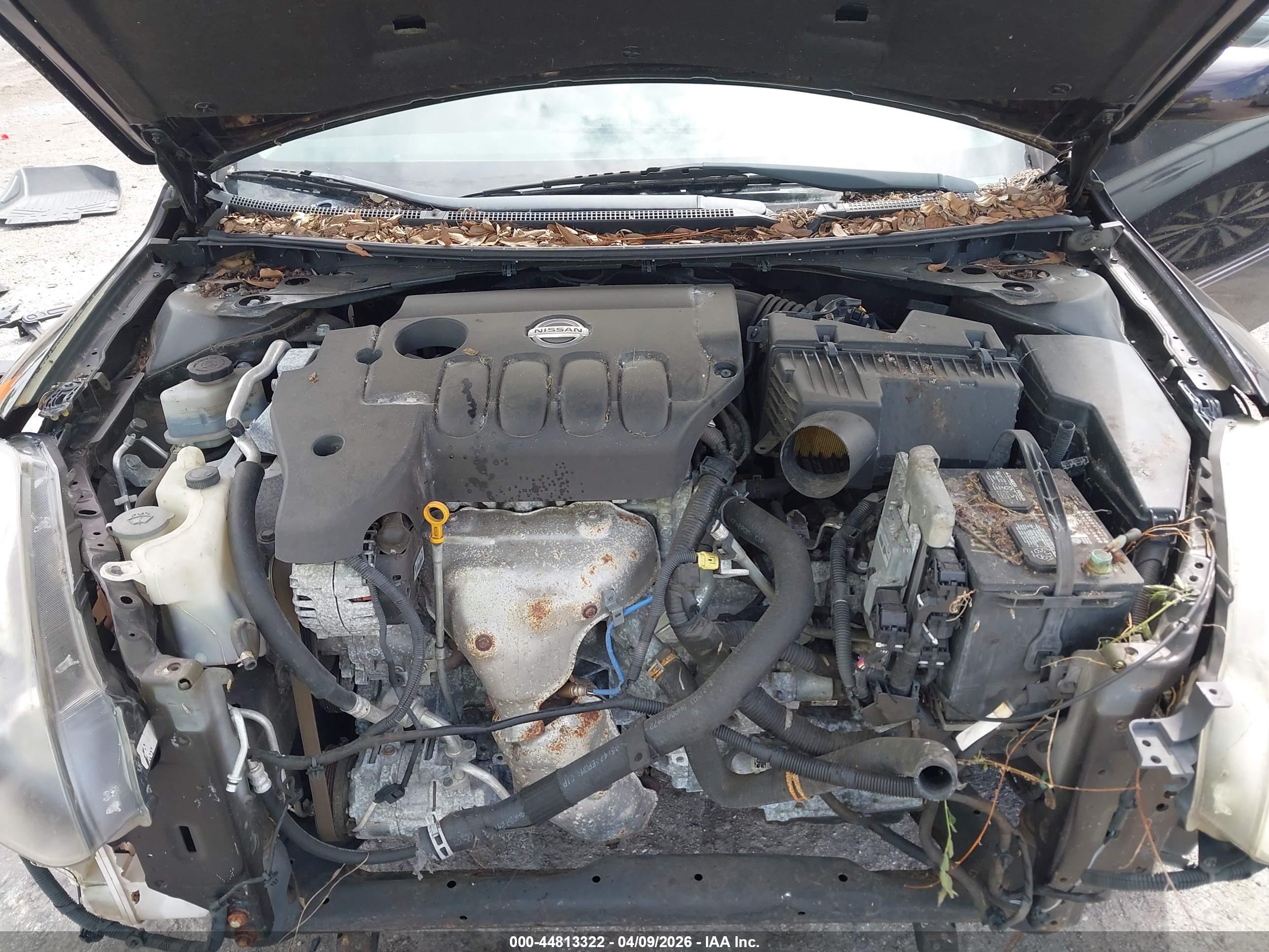 NISSAN ALTIMA image 10