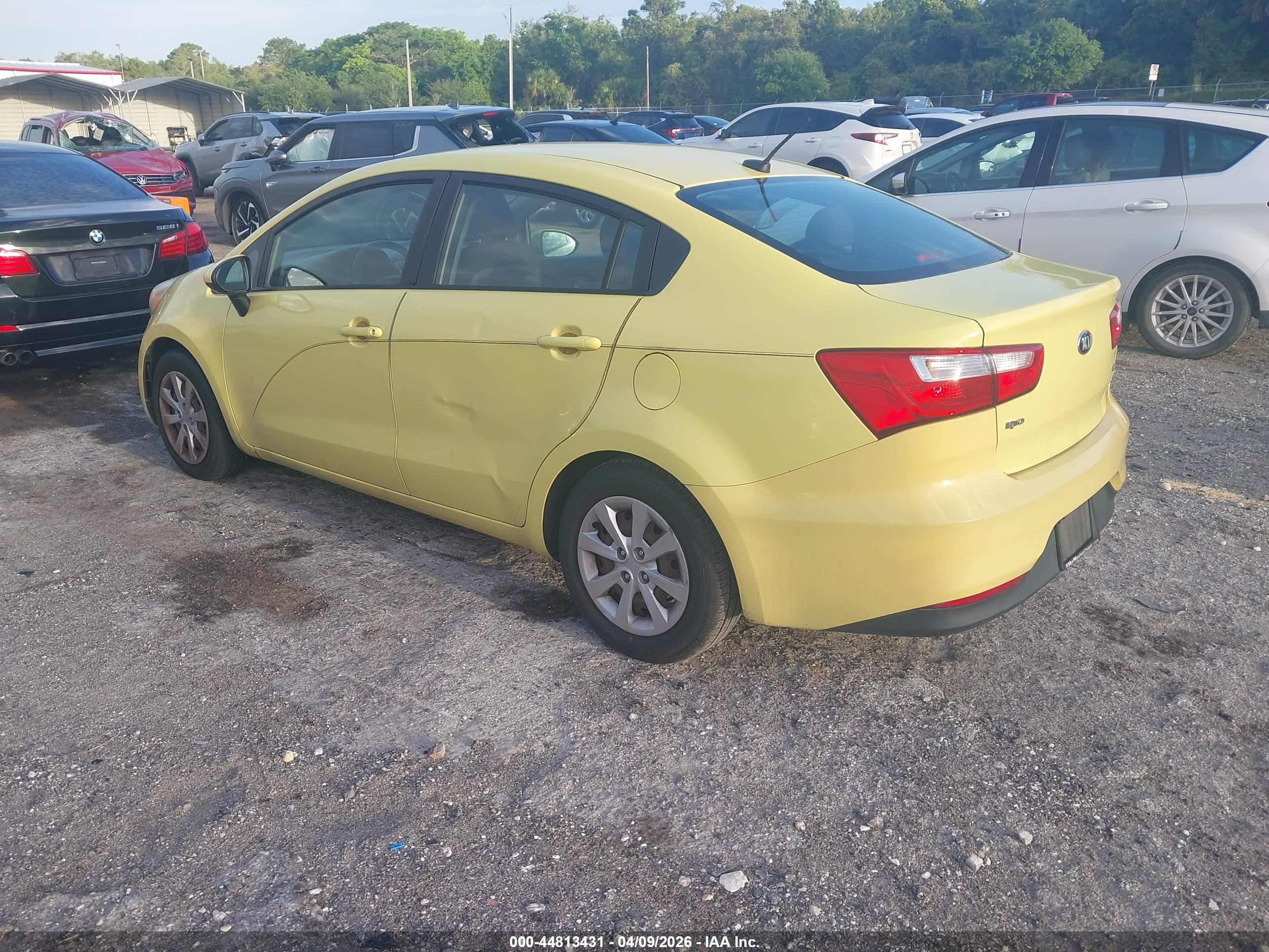 KIA RIO image 3
