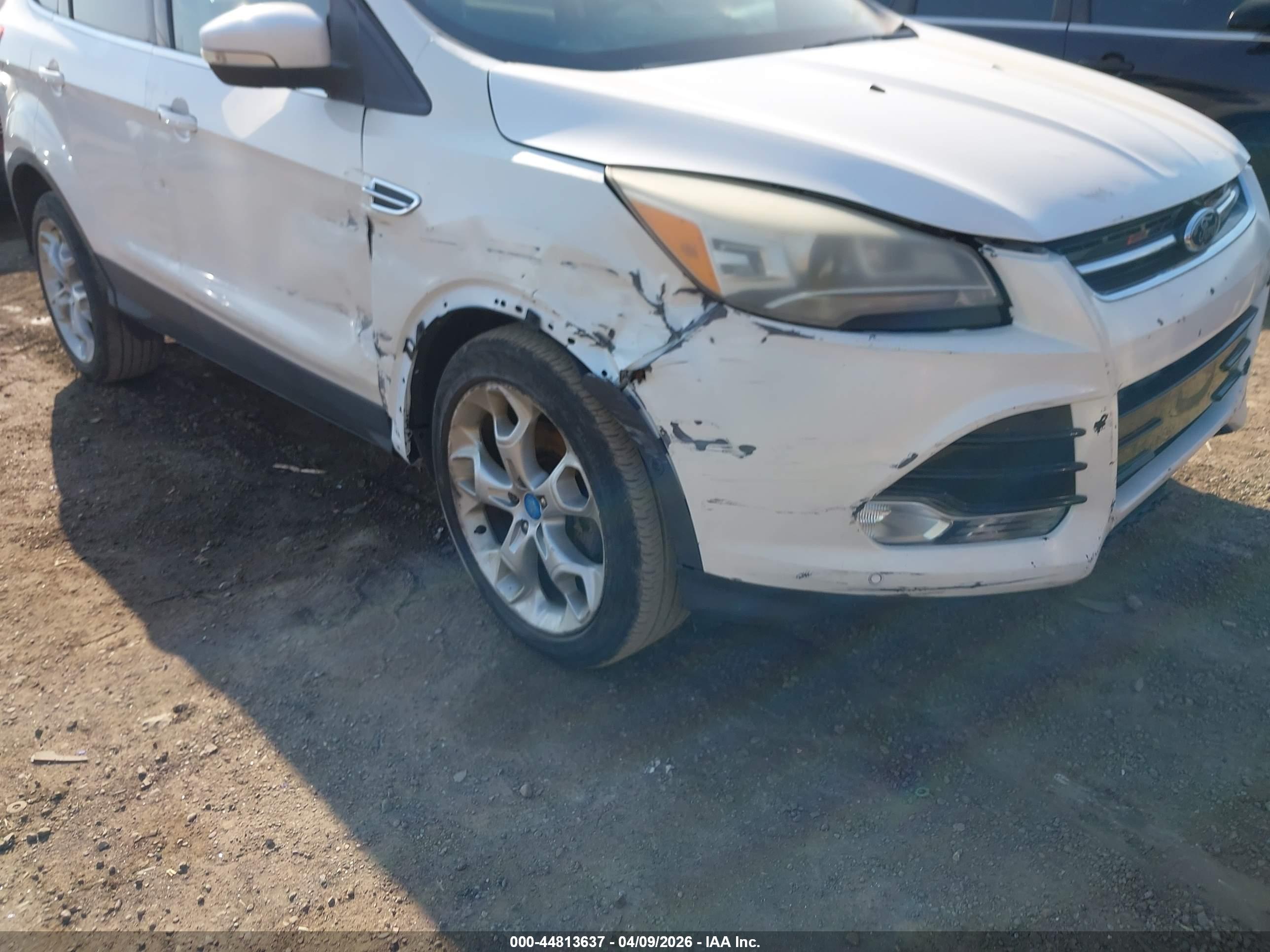 FORD ESCAPE image 6