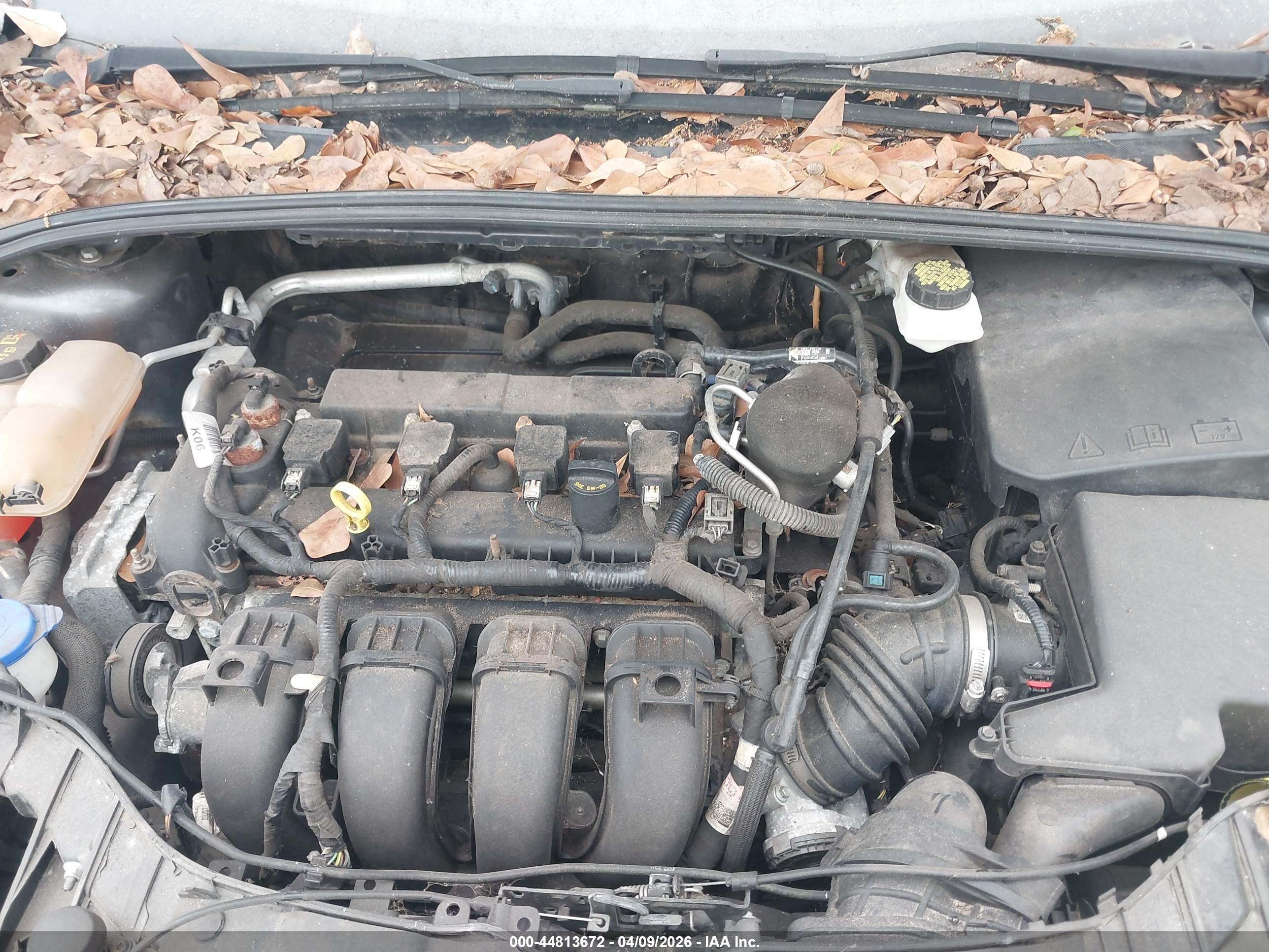 FORD FOCUS image 10