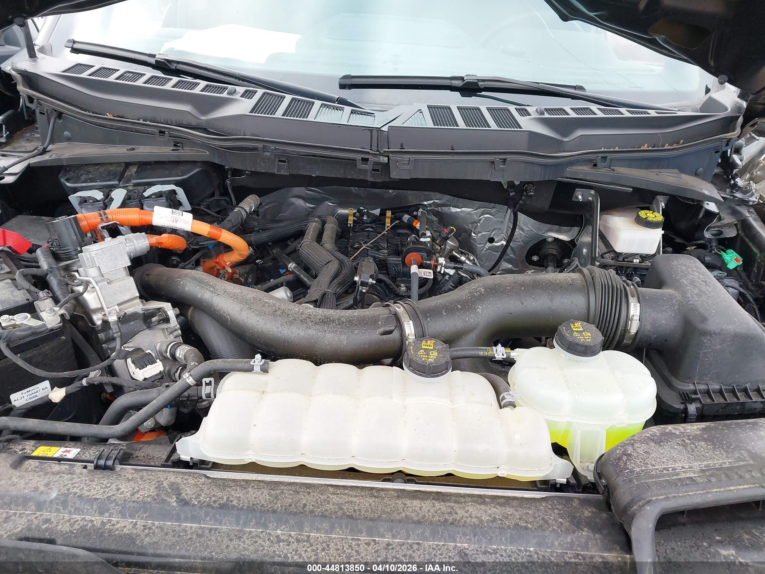 FORD F-150 image 10