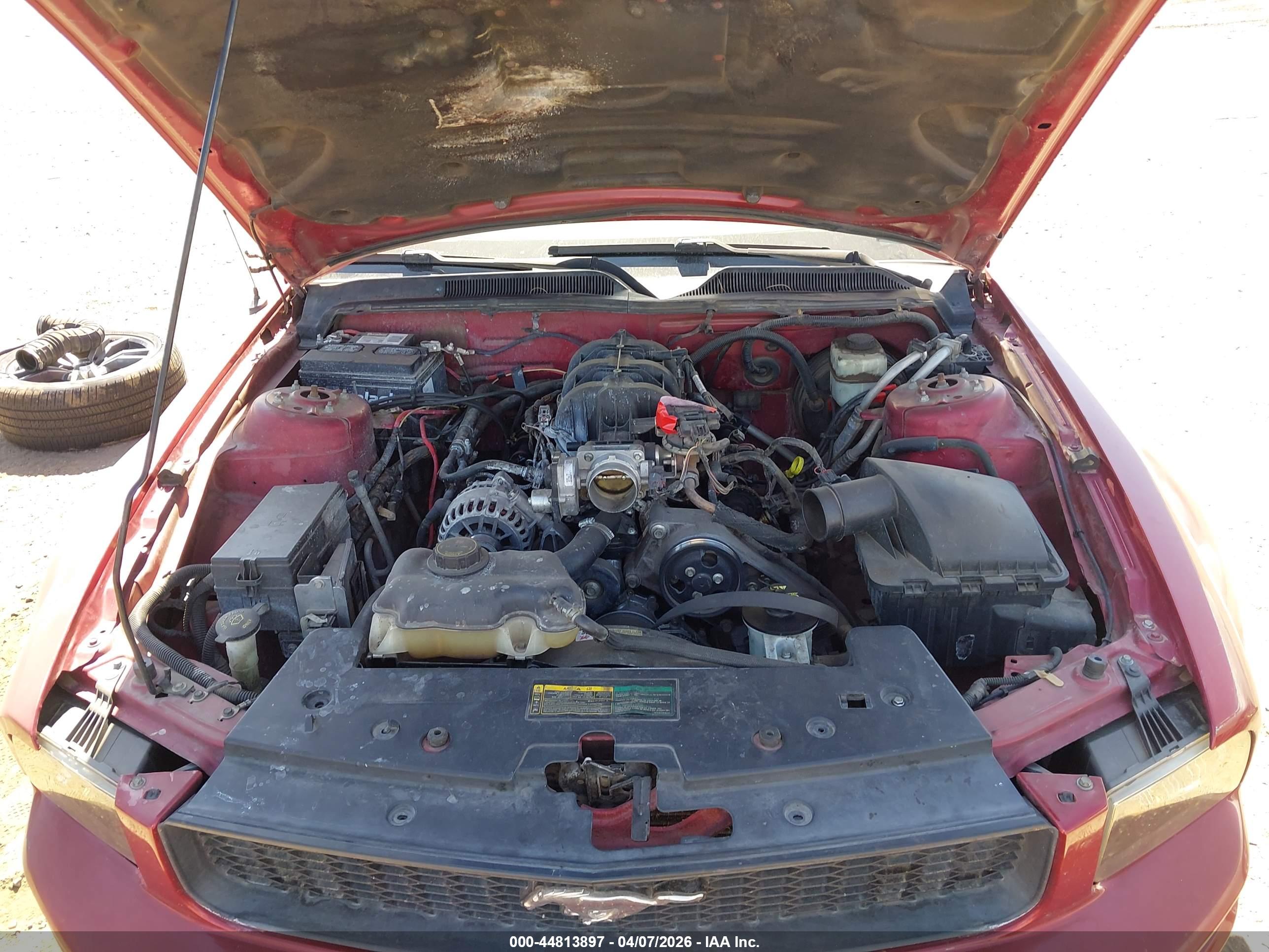 FORD MUSTANG image 10