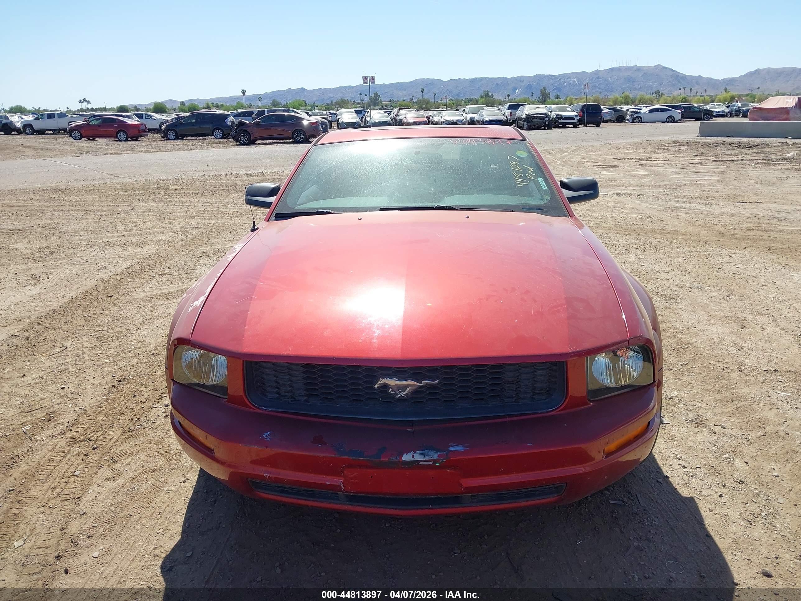 FORD MUSTANG image 6