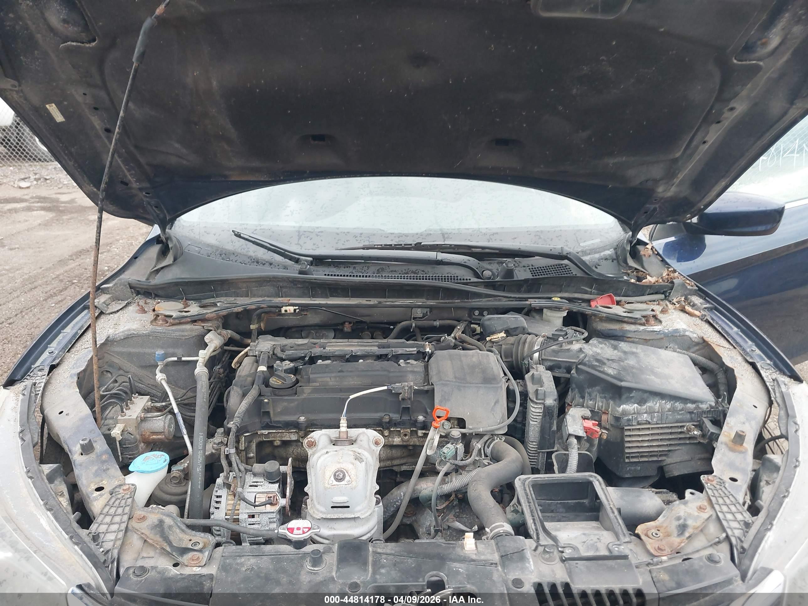 HONDA ACCORD image 10
