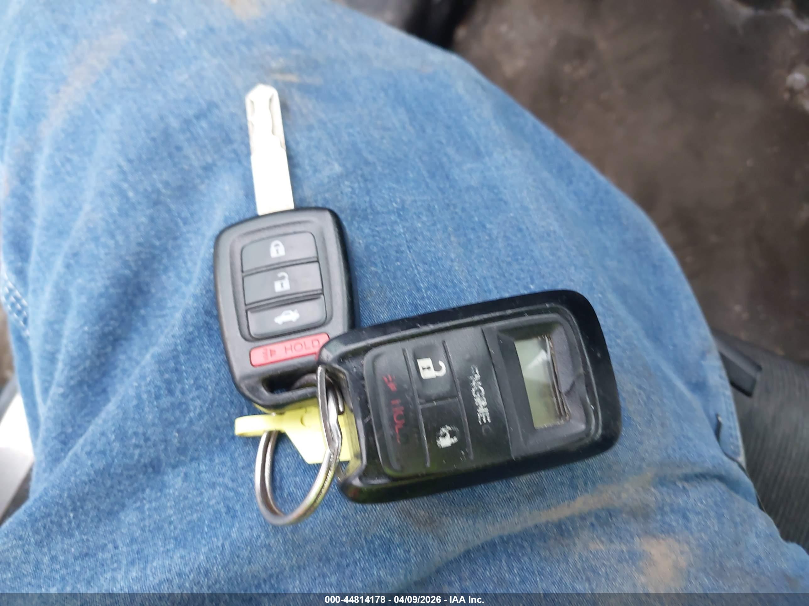HONDA ACCORD image 11