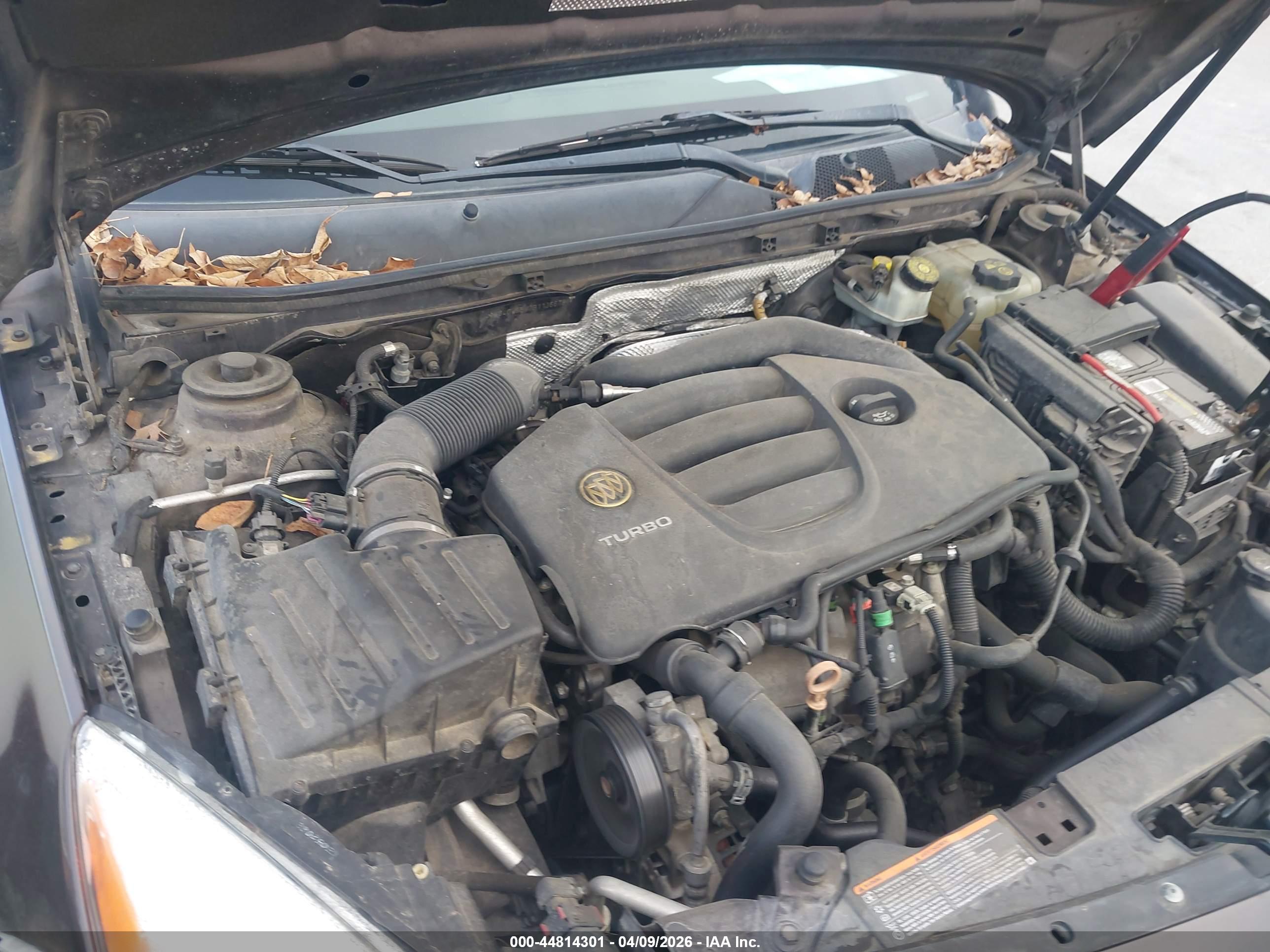 BUICK REGAL image 10