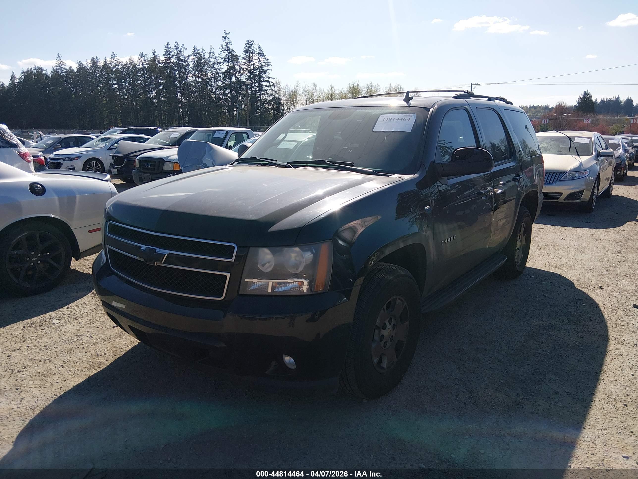 CHEVROLET TAHOE image 2