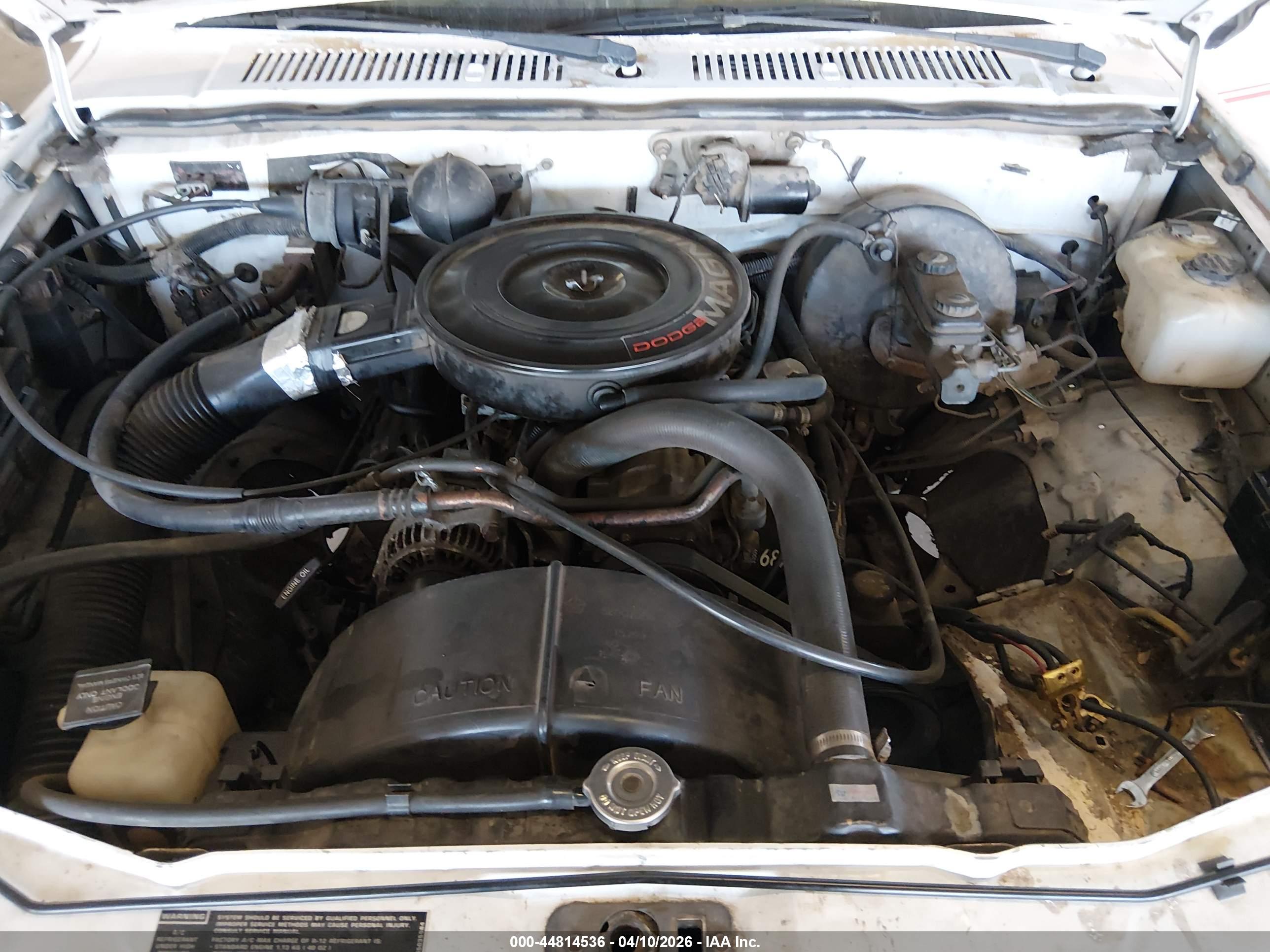 DODGE DAKOTA image 10