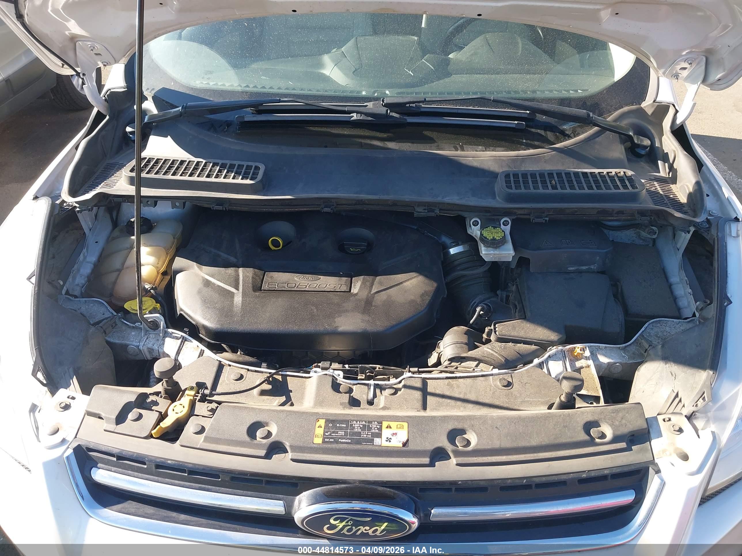 FORD ESCAPE image 10
