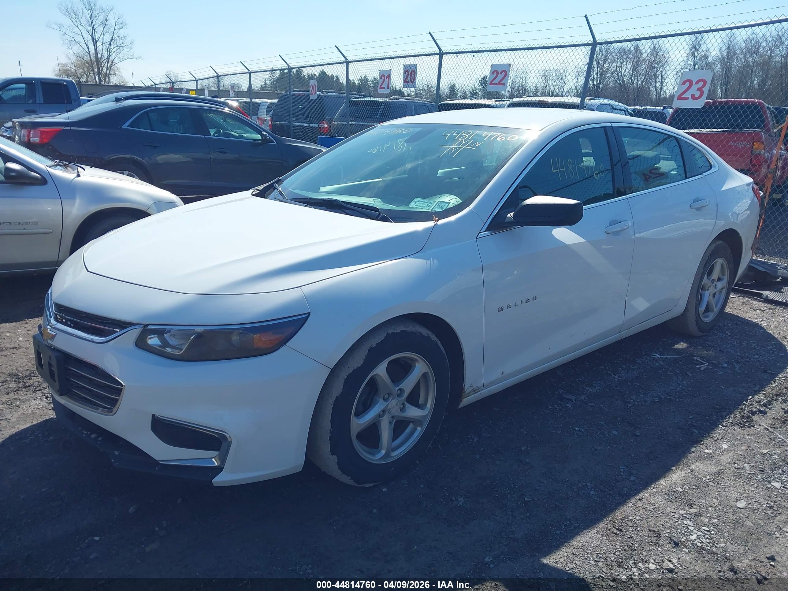 CHEVROLET MALIBU image 2