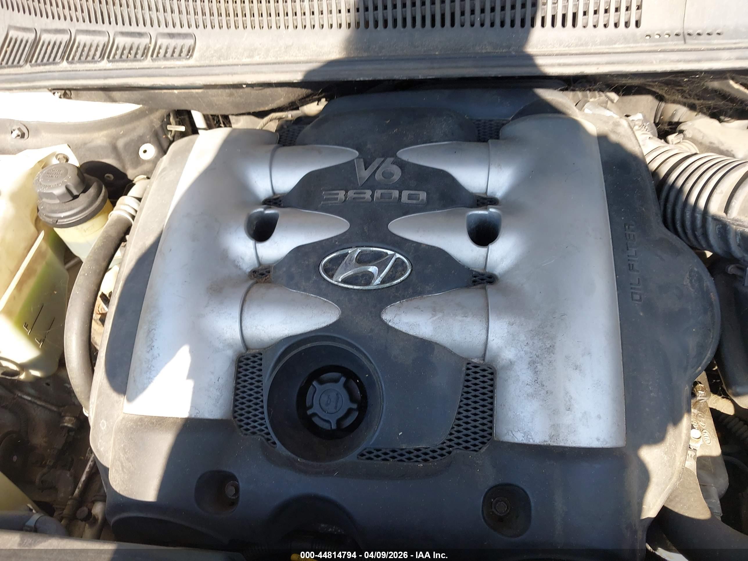 HYUNDAI ENTOURAGE image 10