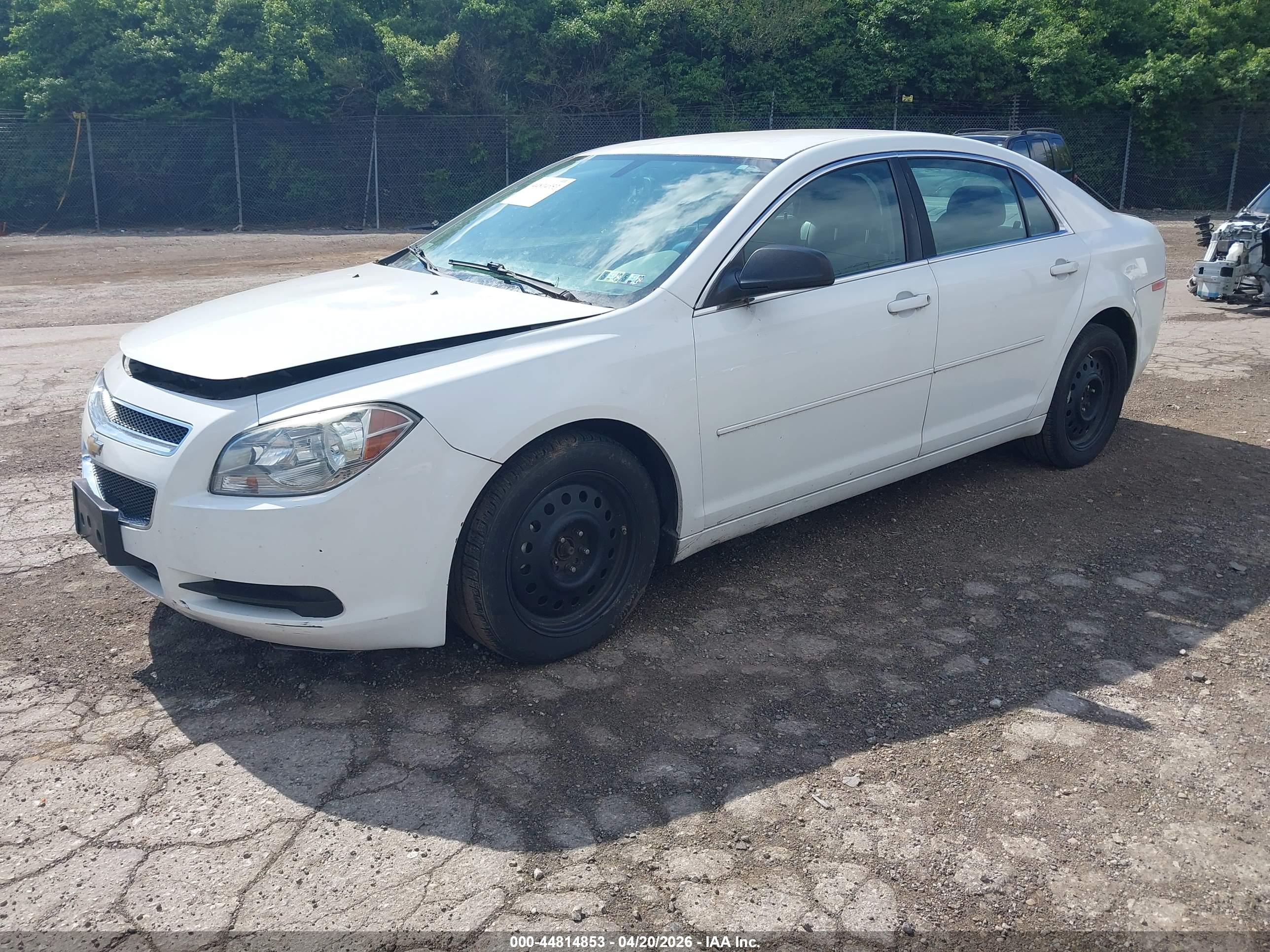 CHEVROLET MALIBU image 2