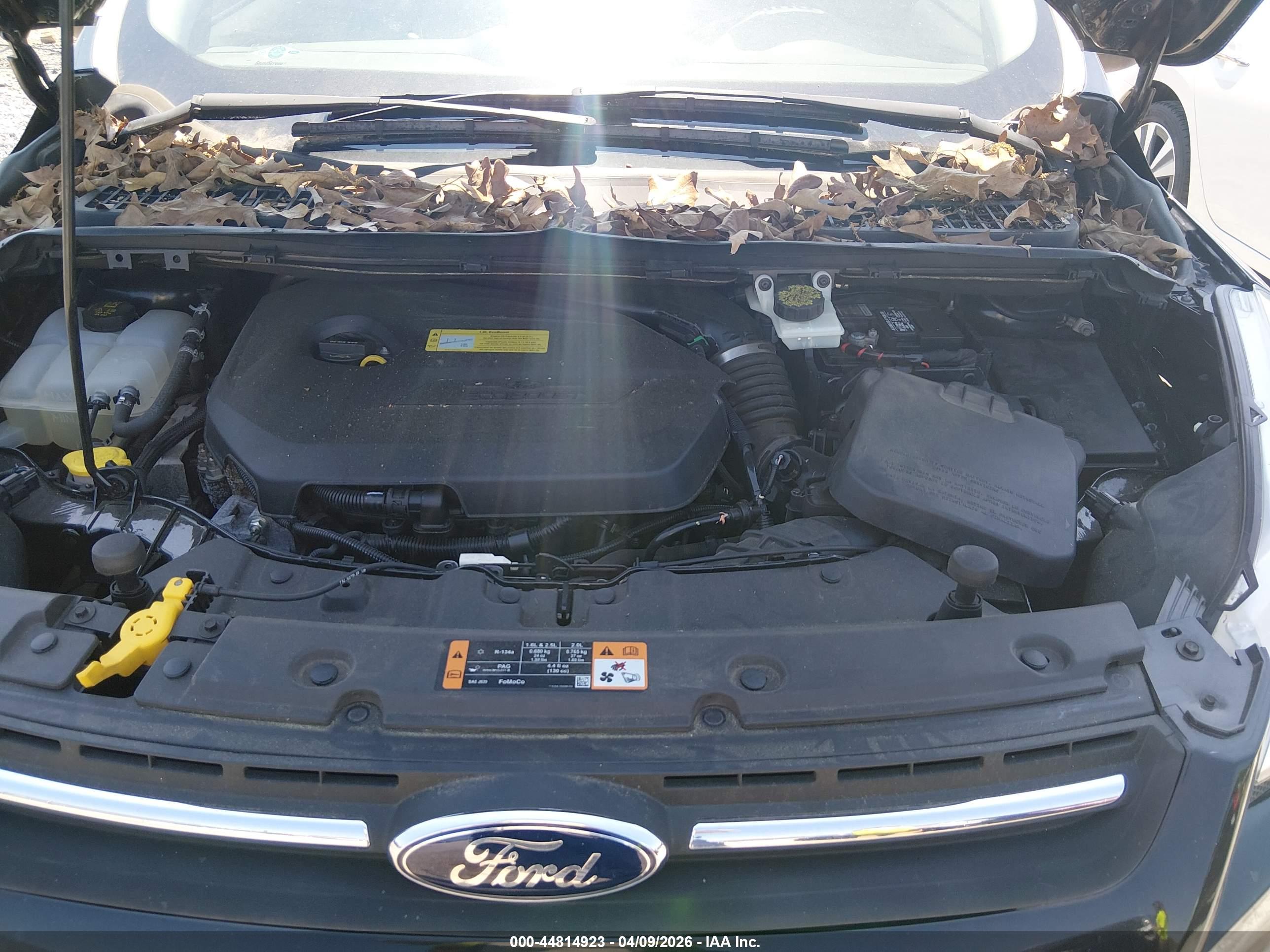 FORD ESCAPE image 10