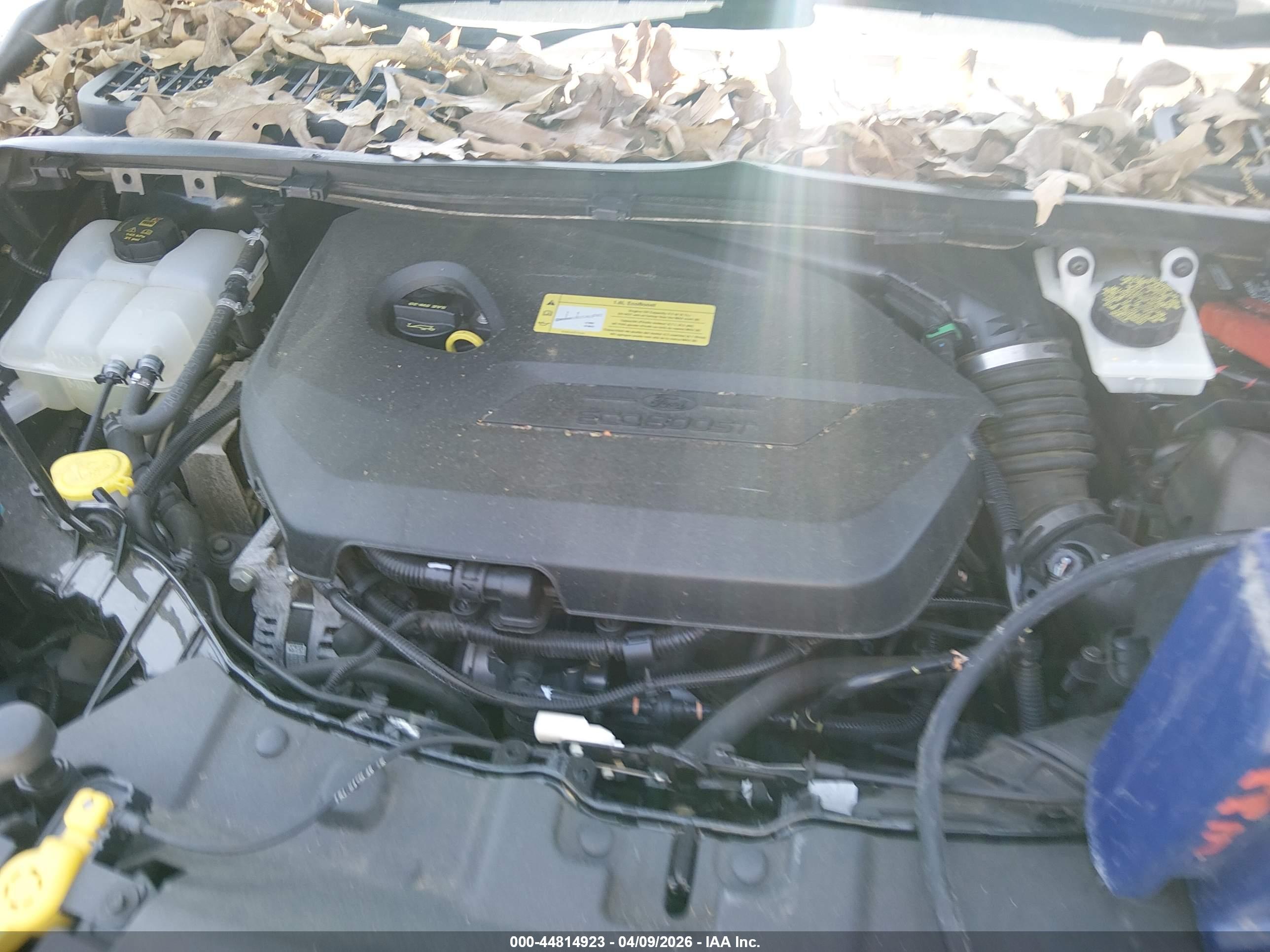 FORD ESCAPE image 6