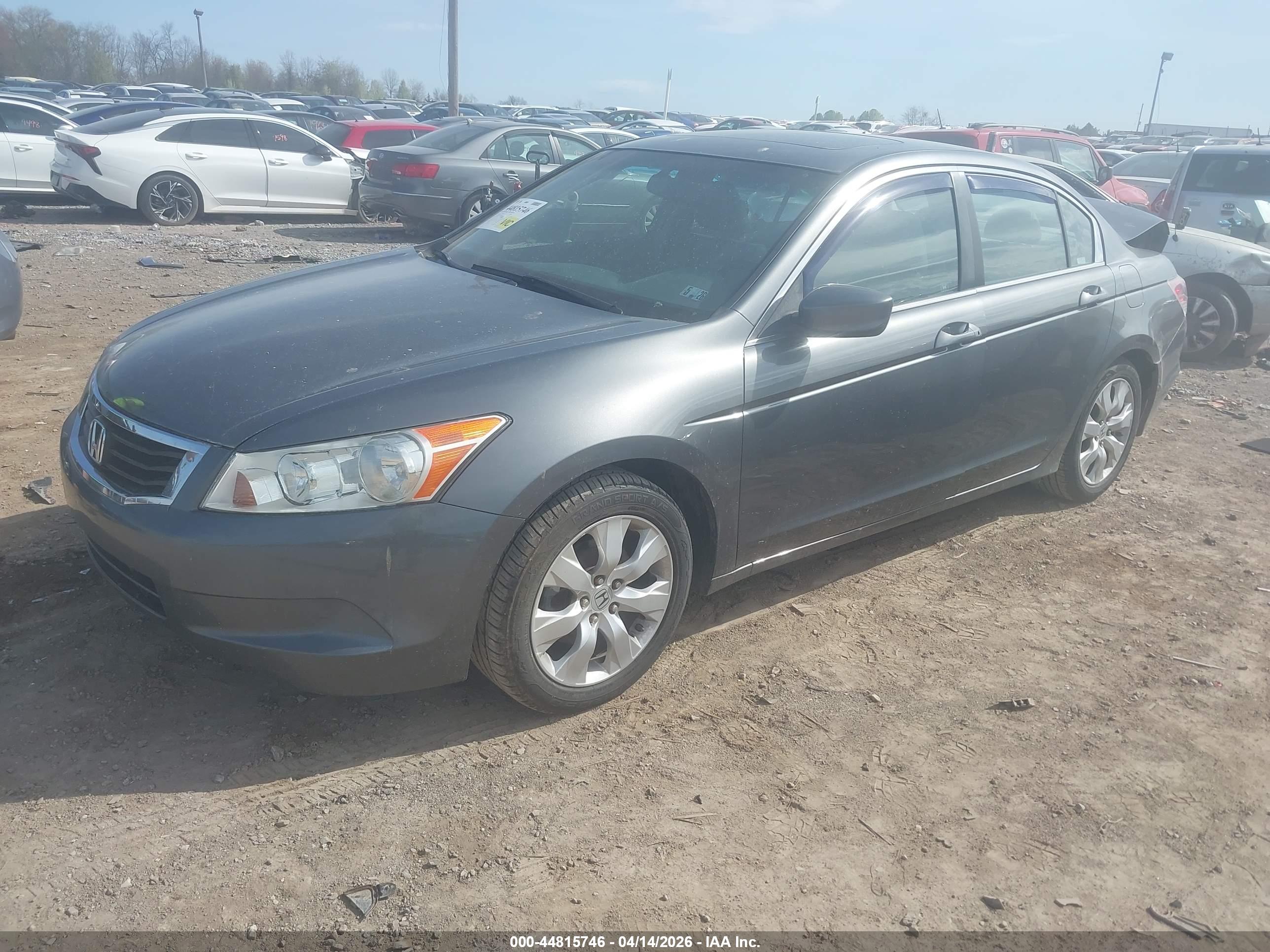 HONDA ACCORD image 2