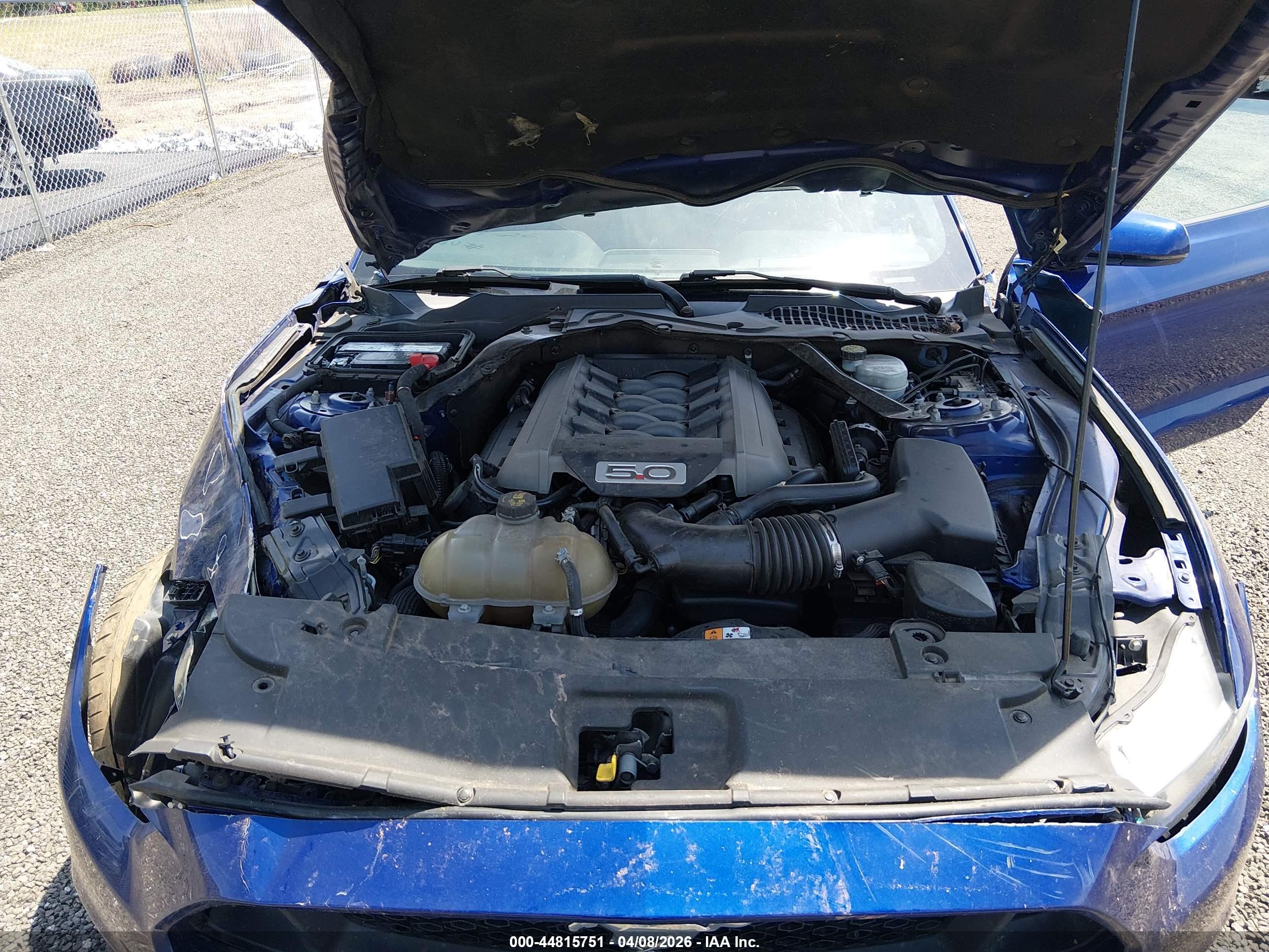 FORD MUSTANG image 10